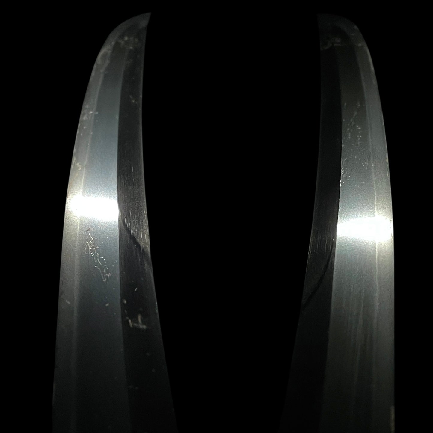 Shobuzukuri Wakizashi 菖蒲造脇差, High-Grade Tsukamae Edo period mumei