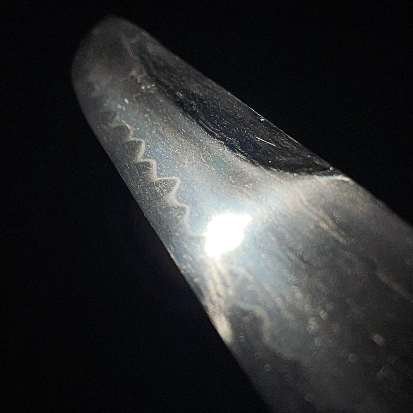 Unokubizukuri 鵜首造 TANTO, Insect menuki, Late Edo period mumei