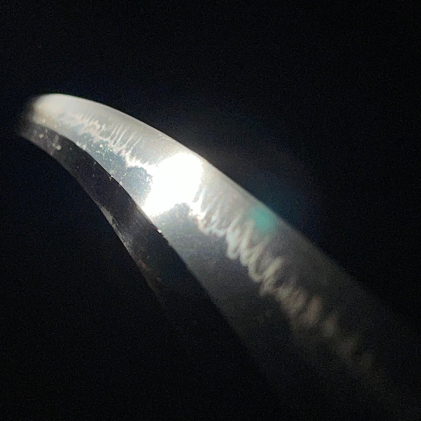 Akama Tsunanobu 赤間綱信 signed KATANA, Moon pine and eagle Fuchikashira, NBTHK Certificate