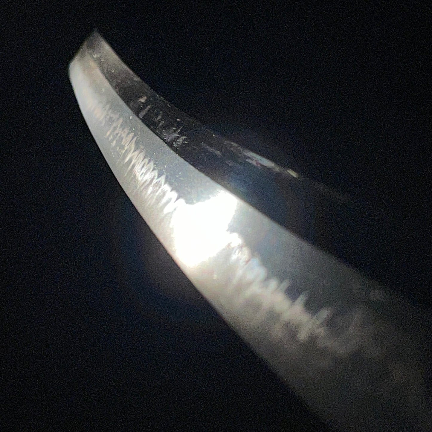 Akama Tsunanobu 赤間綱信 signed KATANA, Moon pine and eagle Fuchikashira, NBTHK Certificate