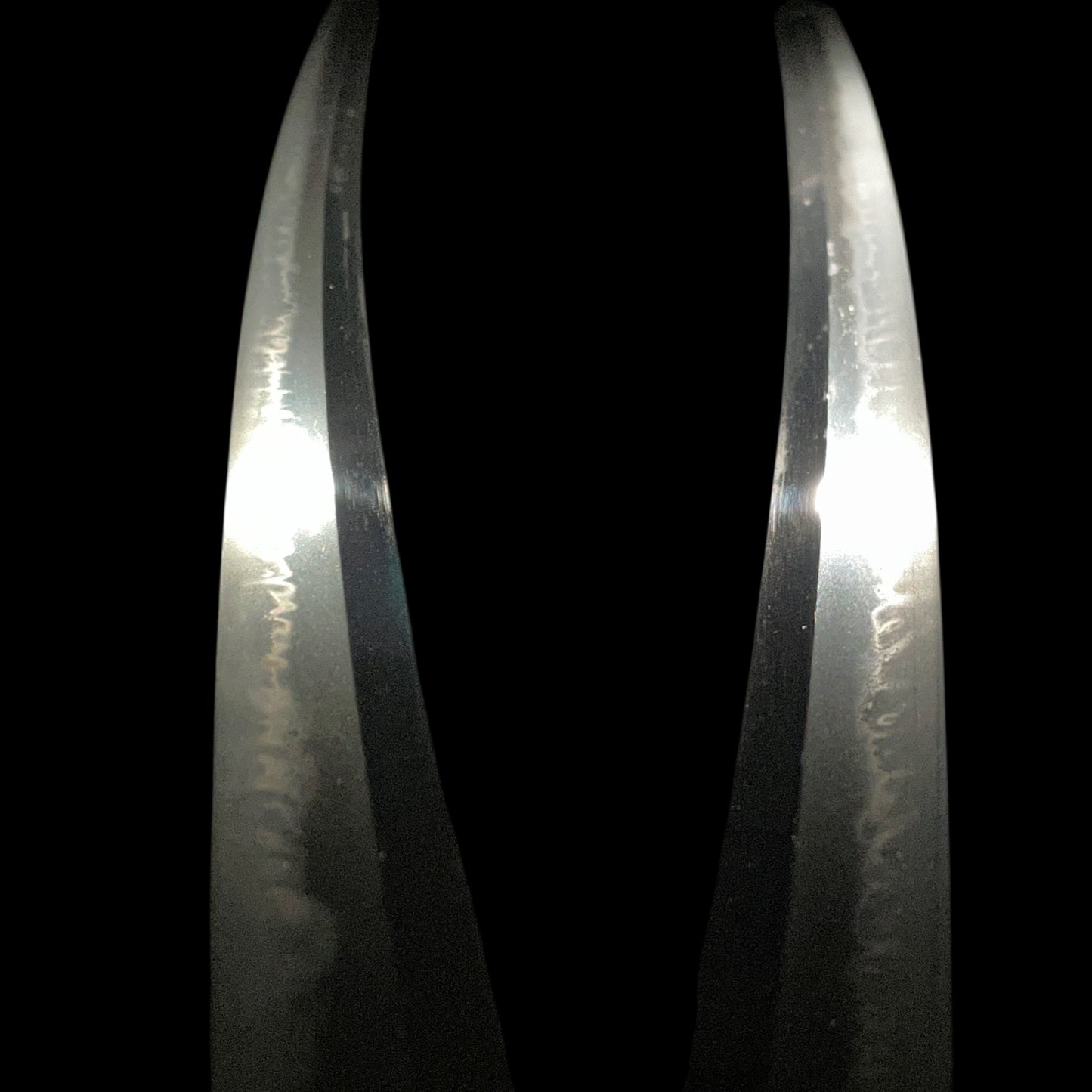 Akama Tsunanobu 赤間綱信 signed KATANA, Moon pine and eagle Fuchikashira, NBTHK Certificate
