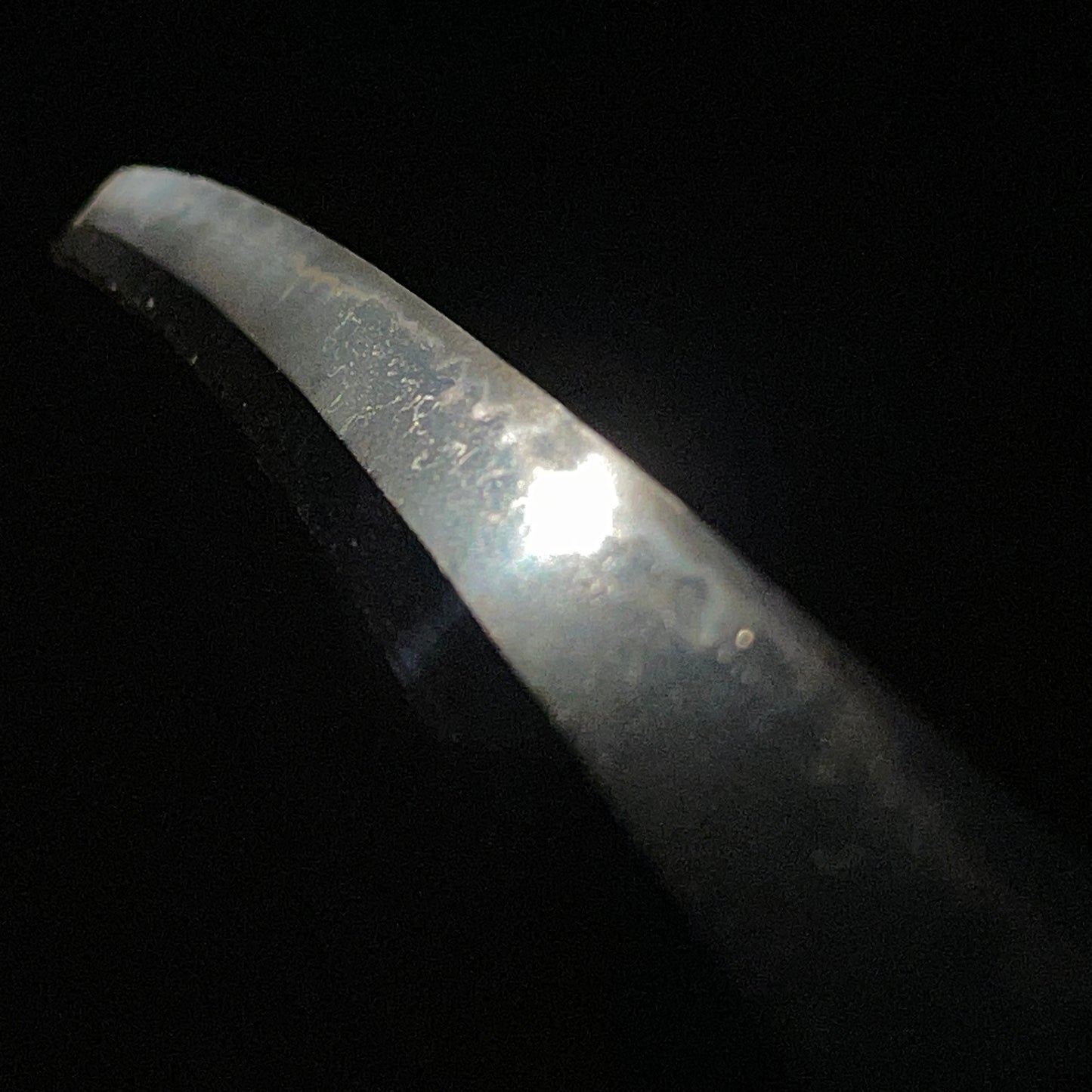 Fish and shellfish Fittings Wakizashi, Jumyo 壽命 signed, Edo period, NBTHK Certificate