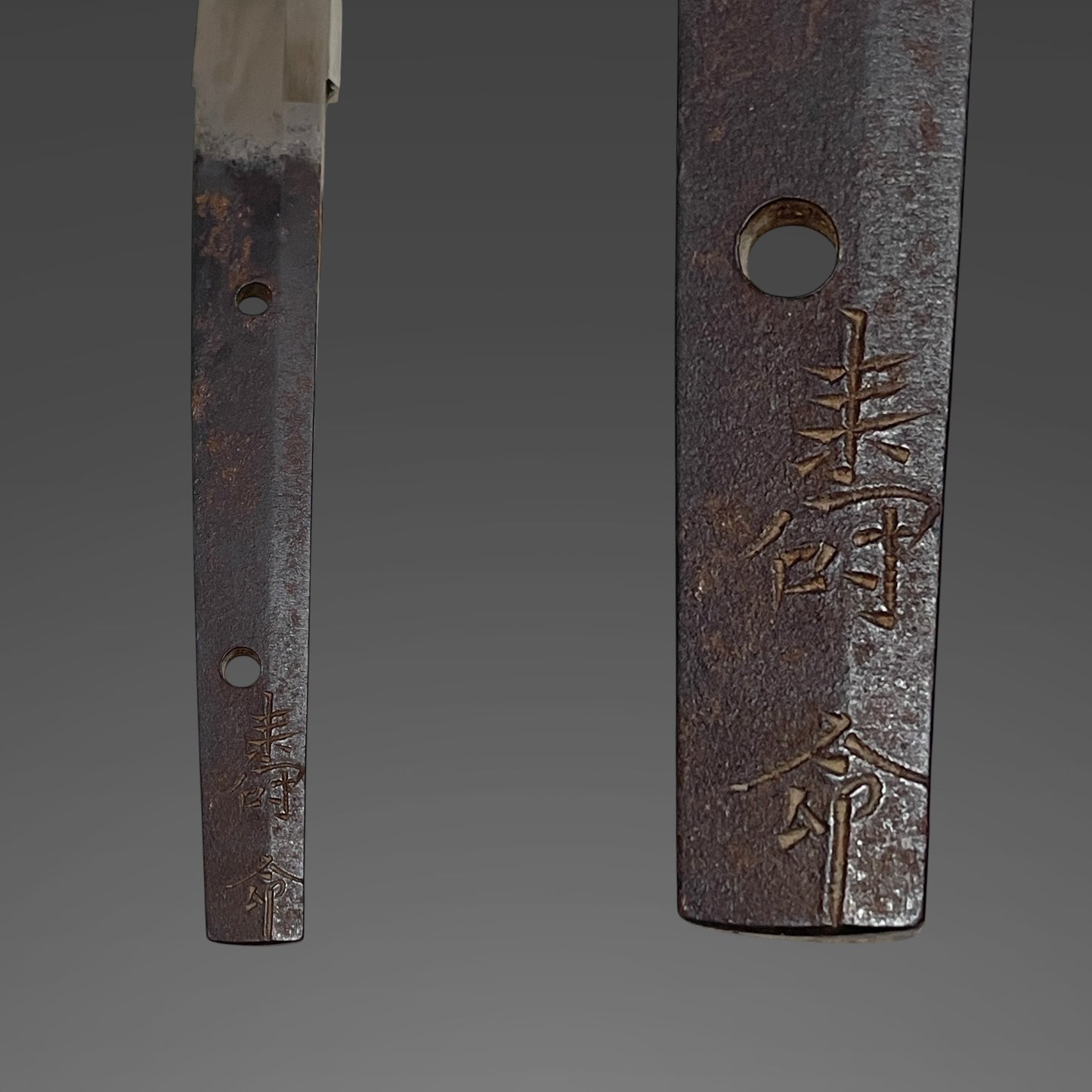 Fish and shellfish Fittings Wakizashi, Jumyo 壽命 signed, Edo period, NBTHK Certificate