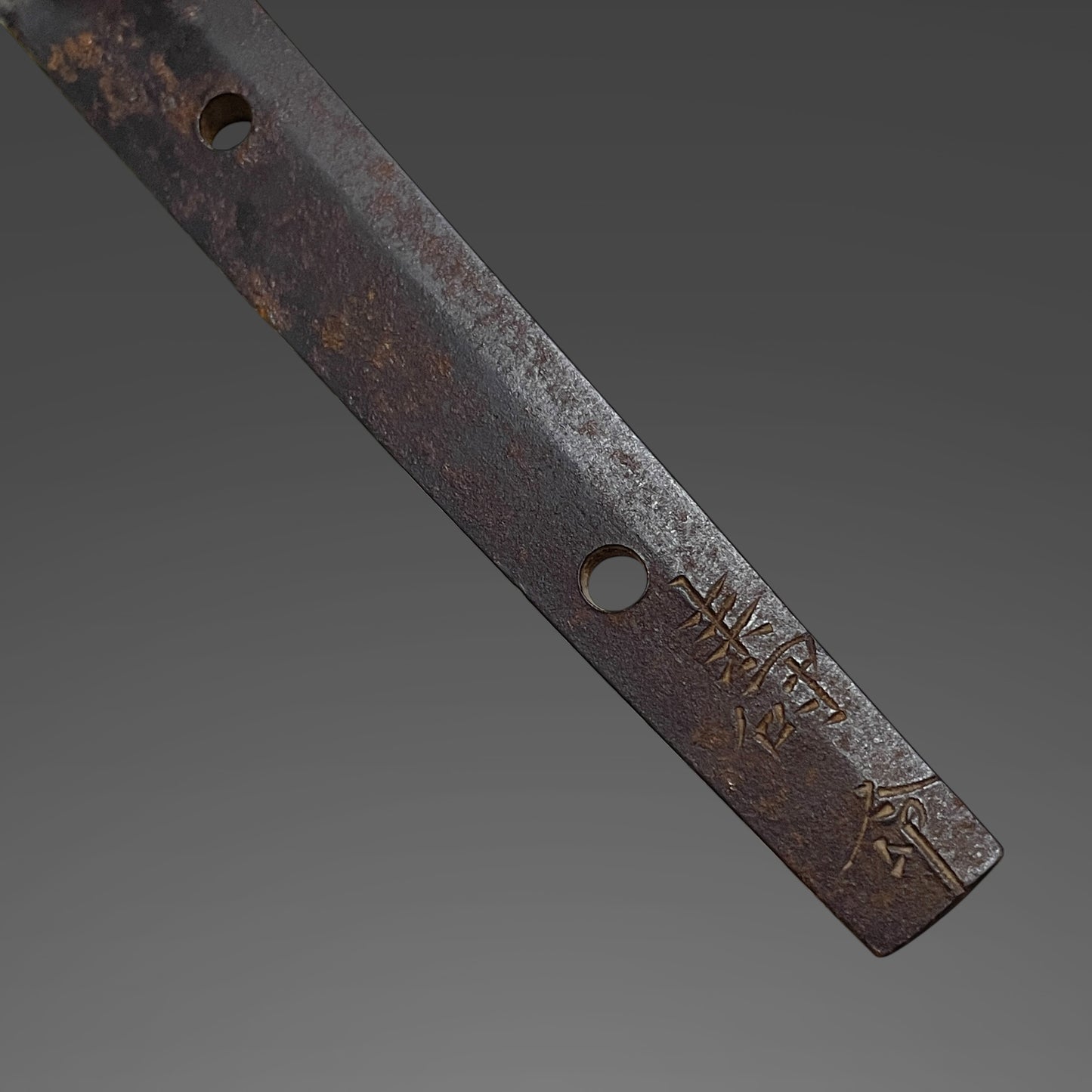 Fish and shellfish Fittings Wakizashi, Jumyo 壽命 signed, Edo period, NBTHK Certificate