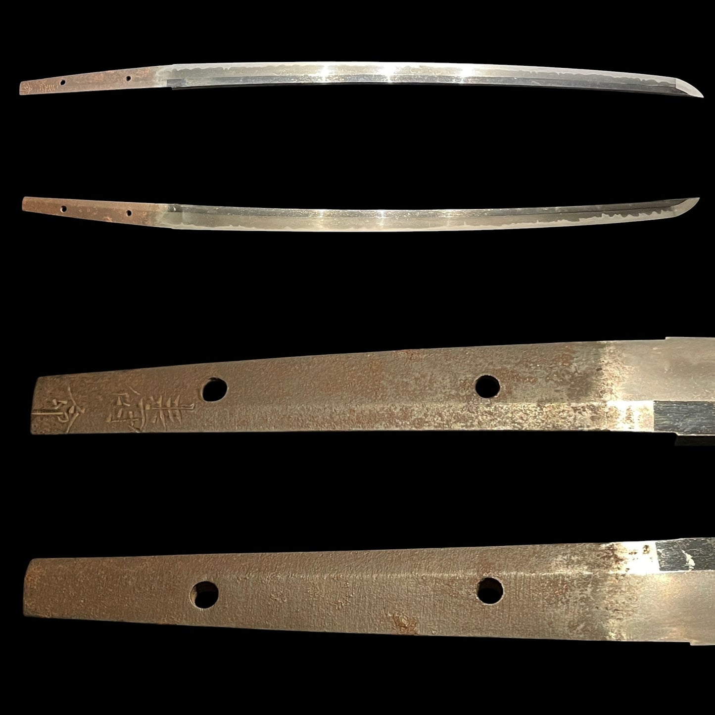Fish and shellfish Fittings Wakizashi, Jumyo 壽命 signed, Edo period, NBTHK Certificate