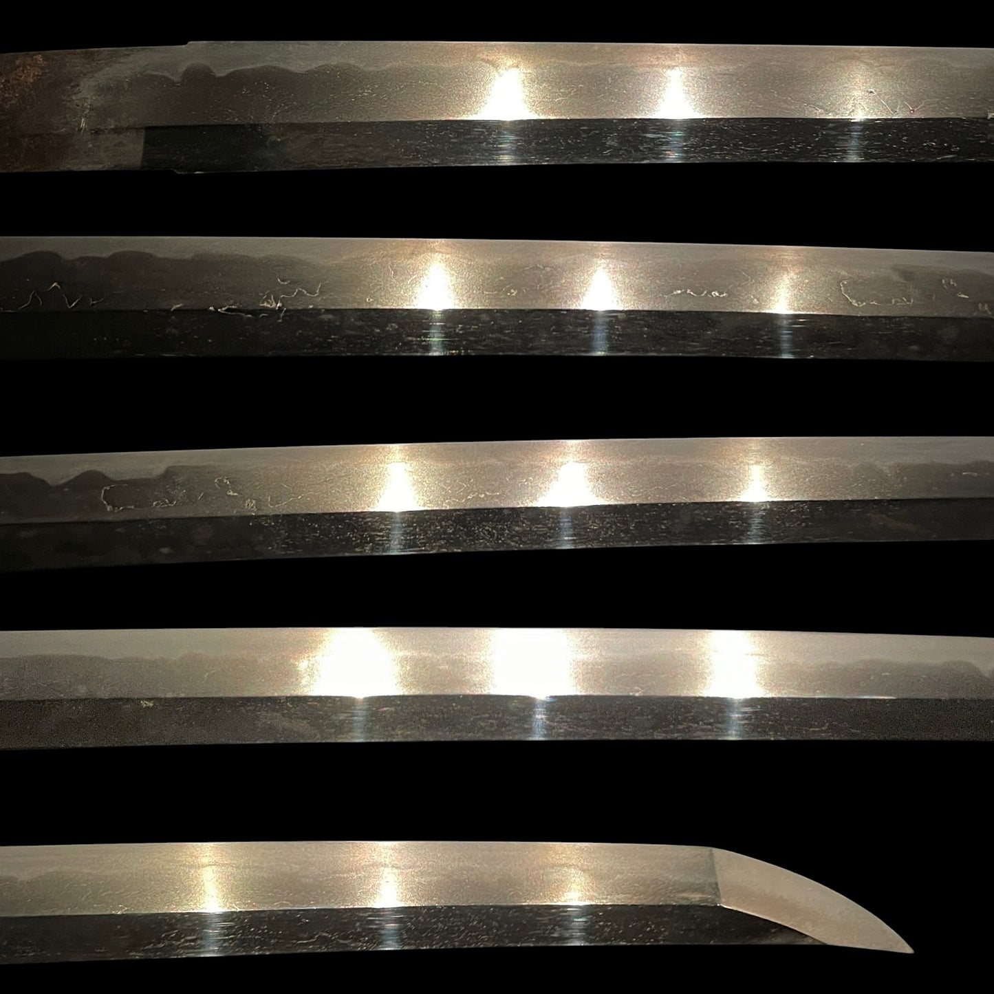 Fish and shellfish Fittings Wakizashi, Jumyo 壽命 signed, Edo period, NBTHK Certificate