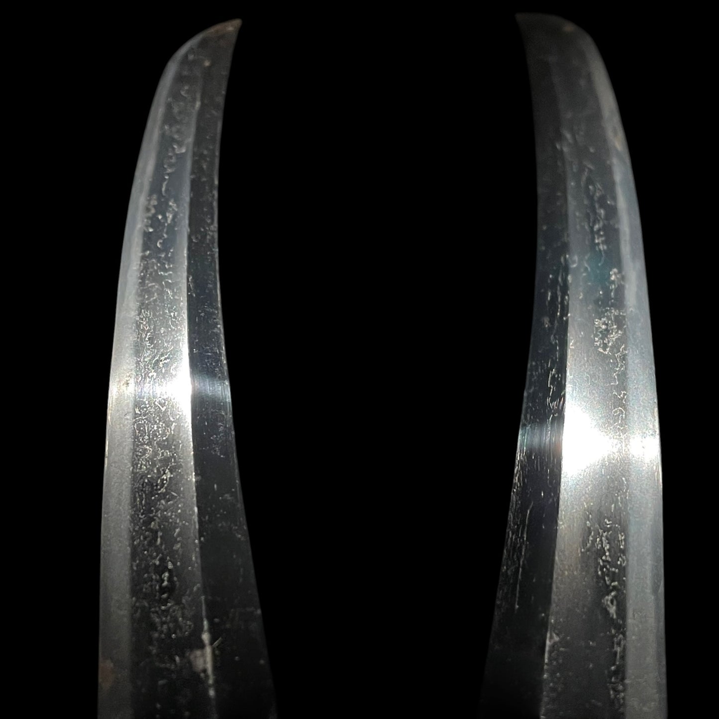 Shobuzukuri Aikuchi Wakizashi 菖蒲造合口脇差, Golden Shishi Menuki, Edo period mumei