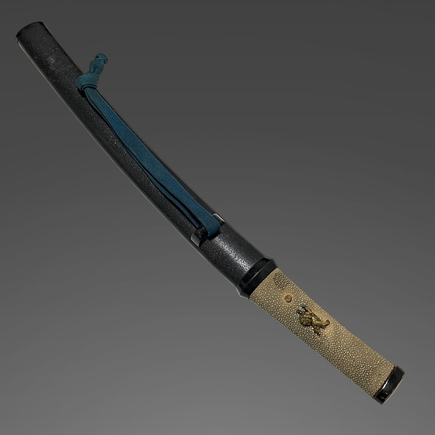 Shobuzukuri Aikuchi Wakizashi 菖蒲造合口脇差, Golden Shishi Menuki, Edo period mumei
