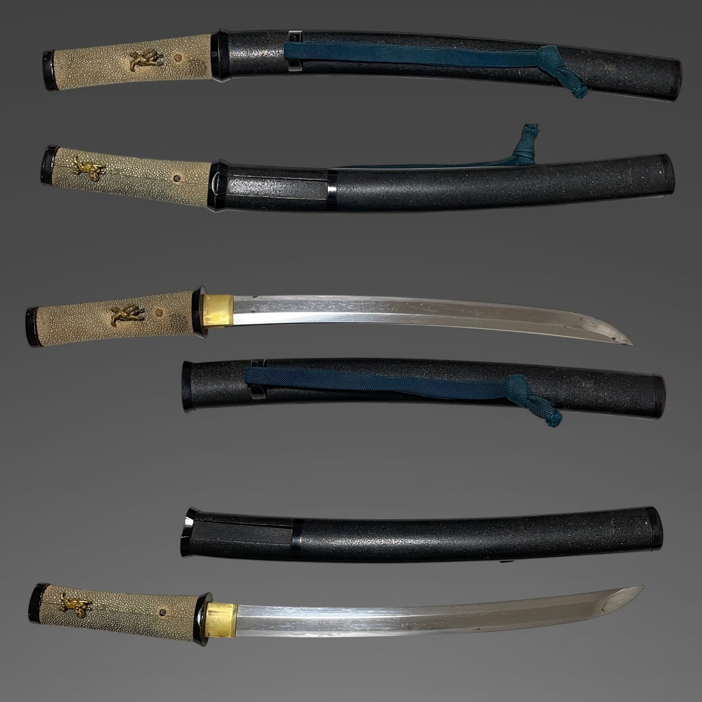 Shobuzukuri Aikuchi Wakizashi 菖蒲造合口脇差, Golden Shishi Menuki, Edo period mumei