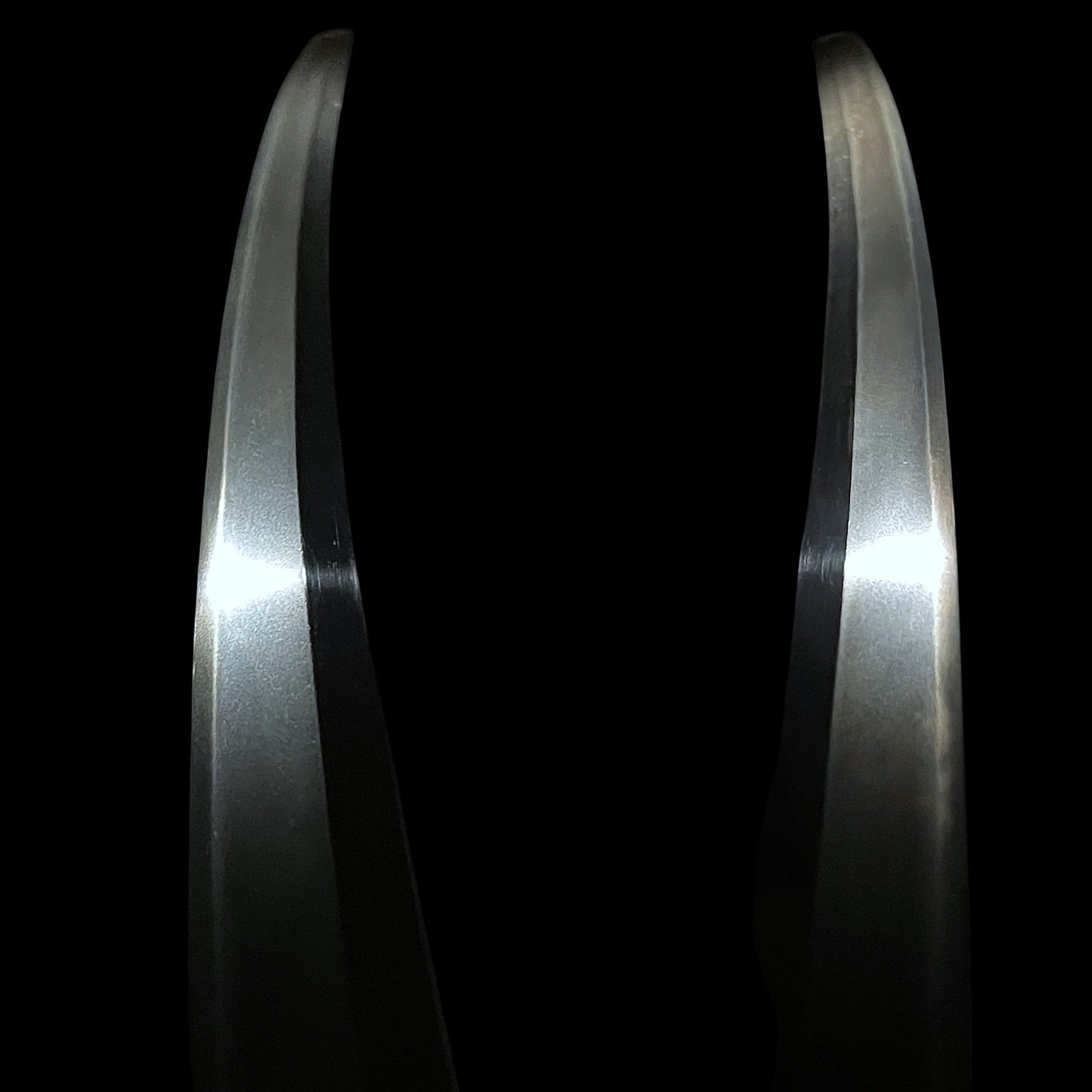 TOKUBETSU-HOZON KATANA, Hamabe Minryushi Toshizane 濱部眠龍子壽實 February 1826 signed,