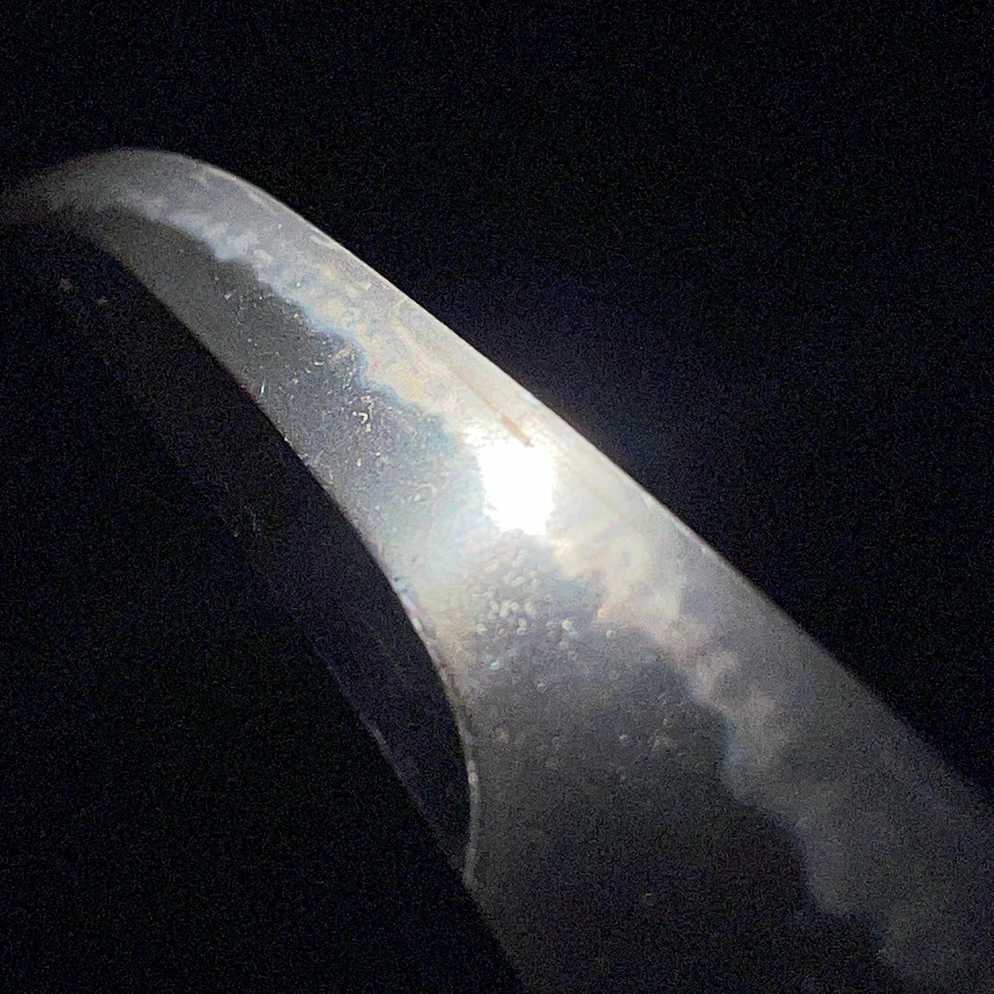 Unokubi-Zukuri 鵜首造 Aikuchi Koshirae TANTO, Dragonfly Menuki, Late Edo period