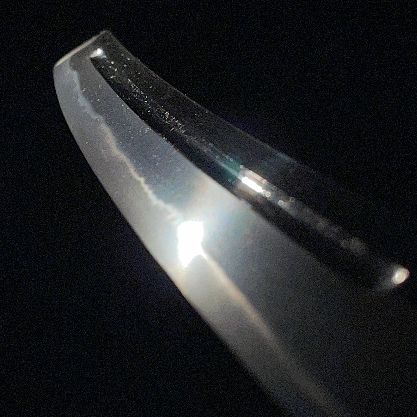 Kunitoshi 国俦 Very Wide Wakizashi, Bonji Horimono 梵字彫物, Edo period, NBTHK Certificate