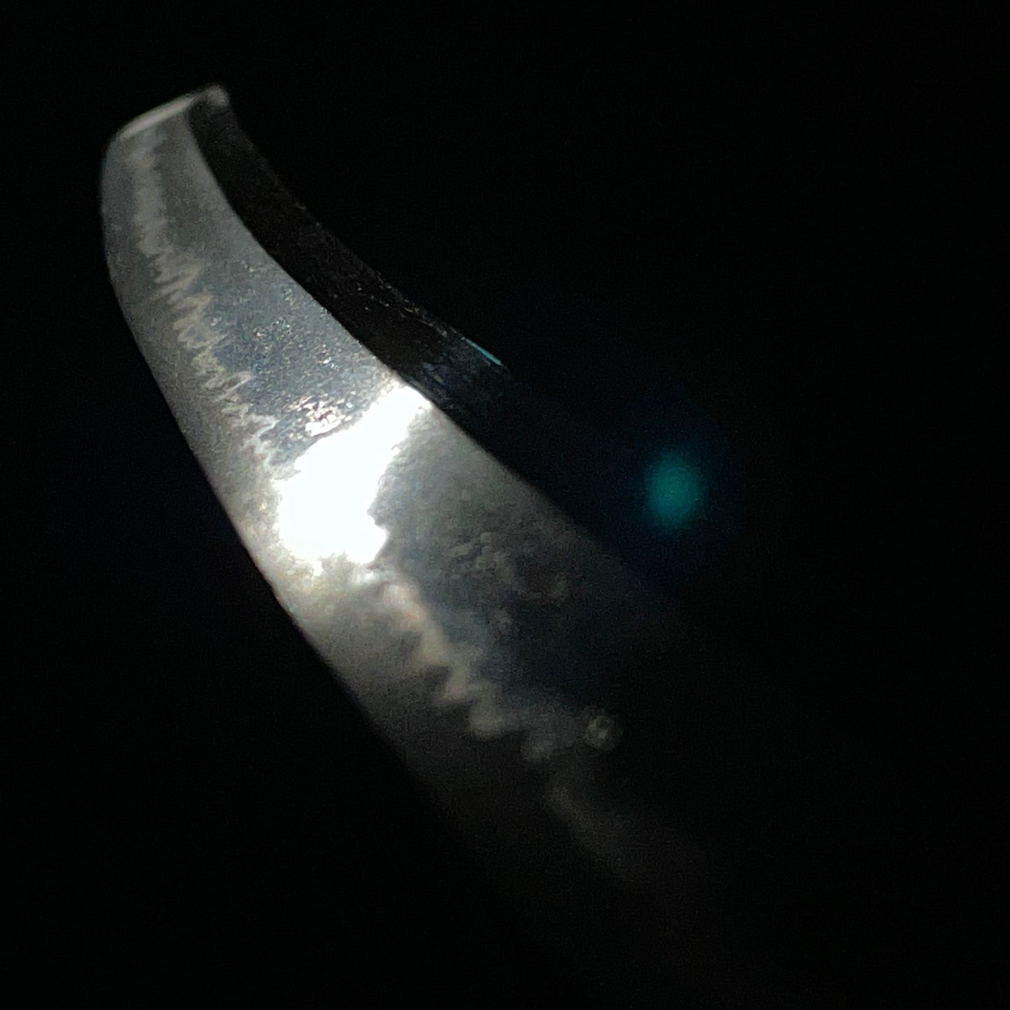 Nobukuni 信國 signed Wakizashi, with Kanteikofuda 鑑定小札, Muromachi period