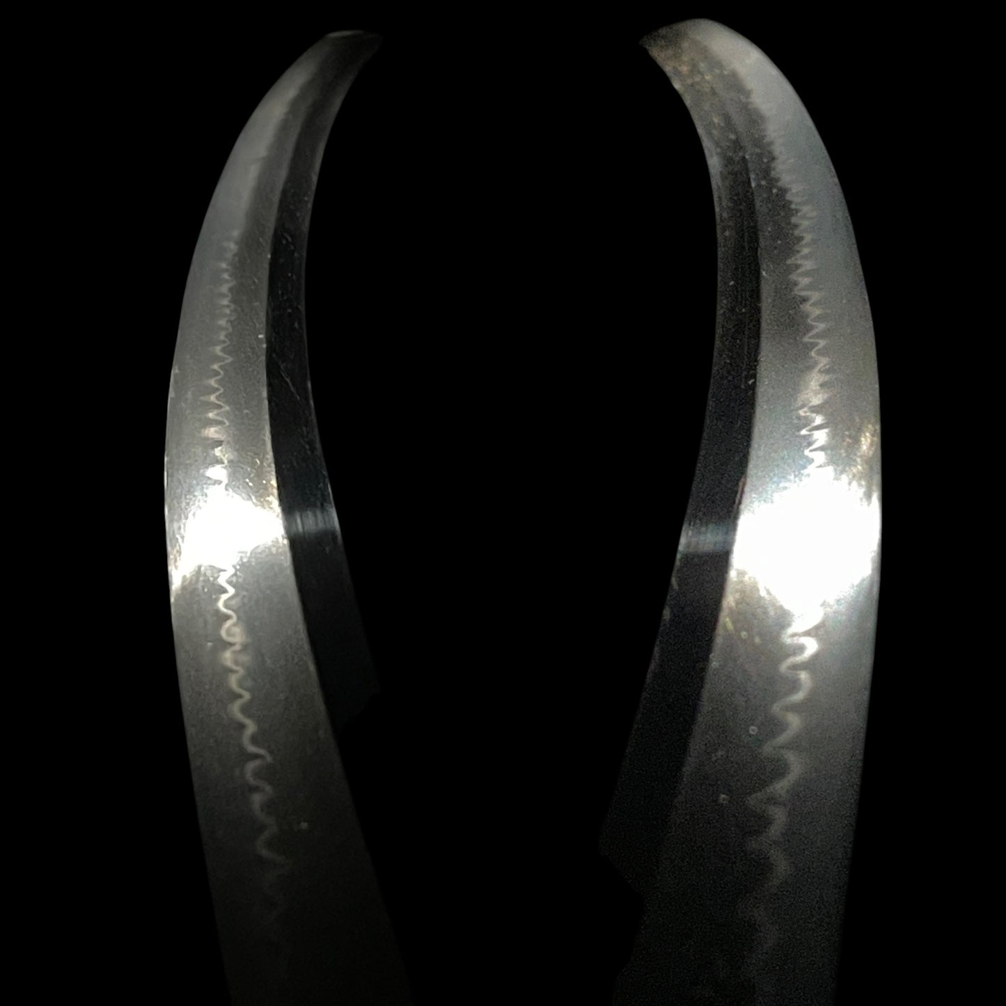 Dragon Fittings Long Wakizashi, Fujiwara Noriyuki 藤原則行 signed, Edo period
