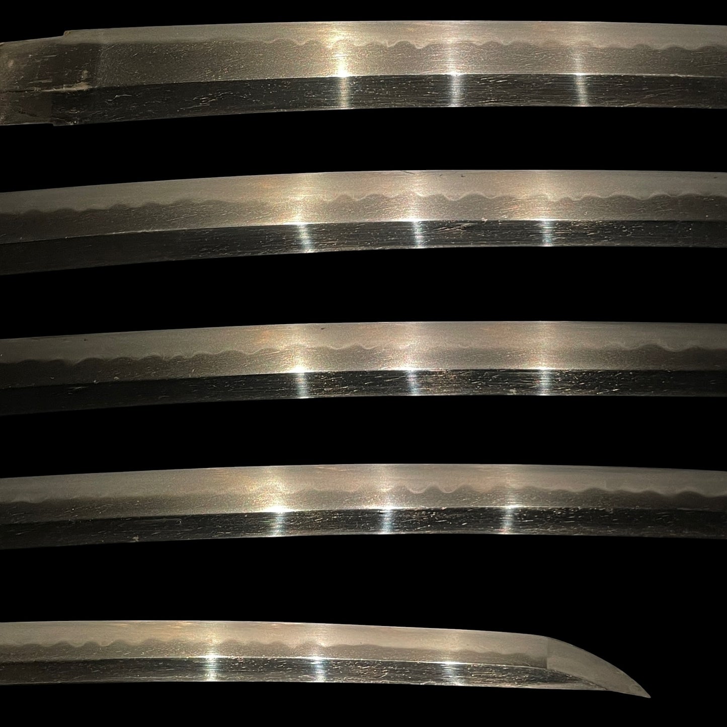 Dragon Fittings Long Wakizashi, Fujiwara Noriyuki 藤原則行 signed, Edo period