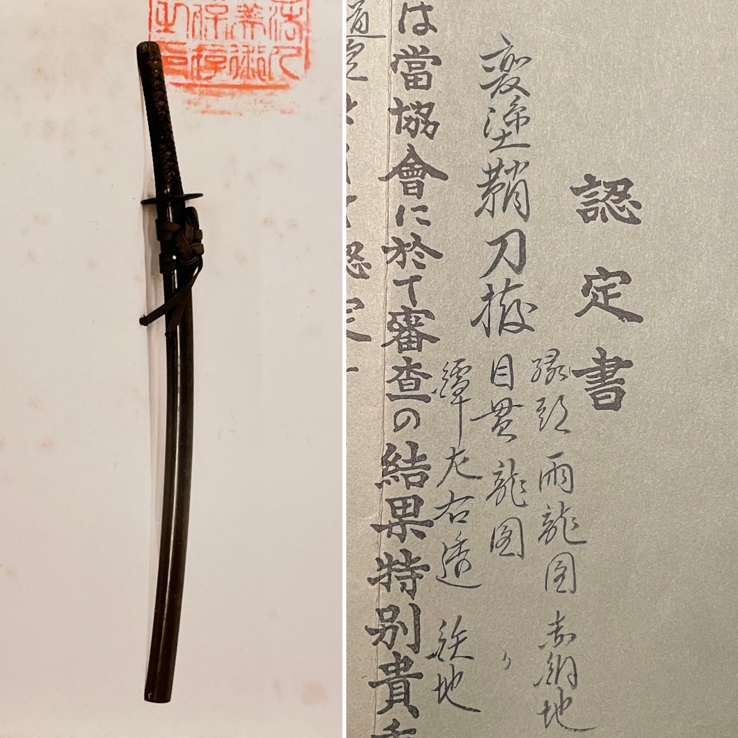 Dragon Fittings Long Wakizashi, Fujiwara Noriyuki 藤原則行 signed, Edo period
