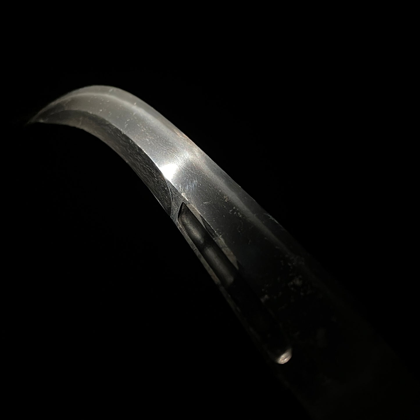 NAGINATA 薙刀 in Koshirae, Iganokami Minamoto Kanemichi 伊賀守源包道 signed, Edo period