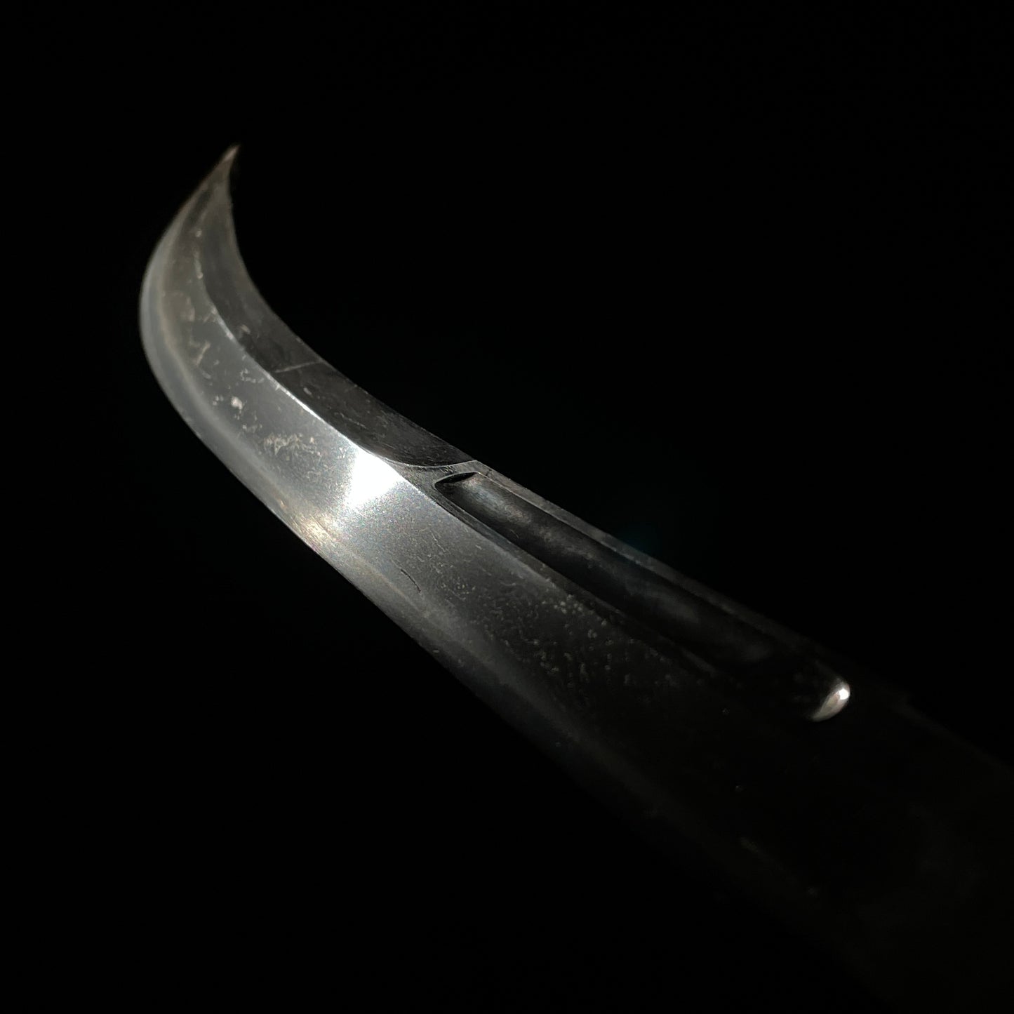 NAGINATA 薙刀 in Koshirae, Iganokami Minamoto Kanemichi 伊賀守源包道 signed, Edo period