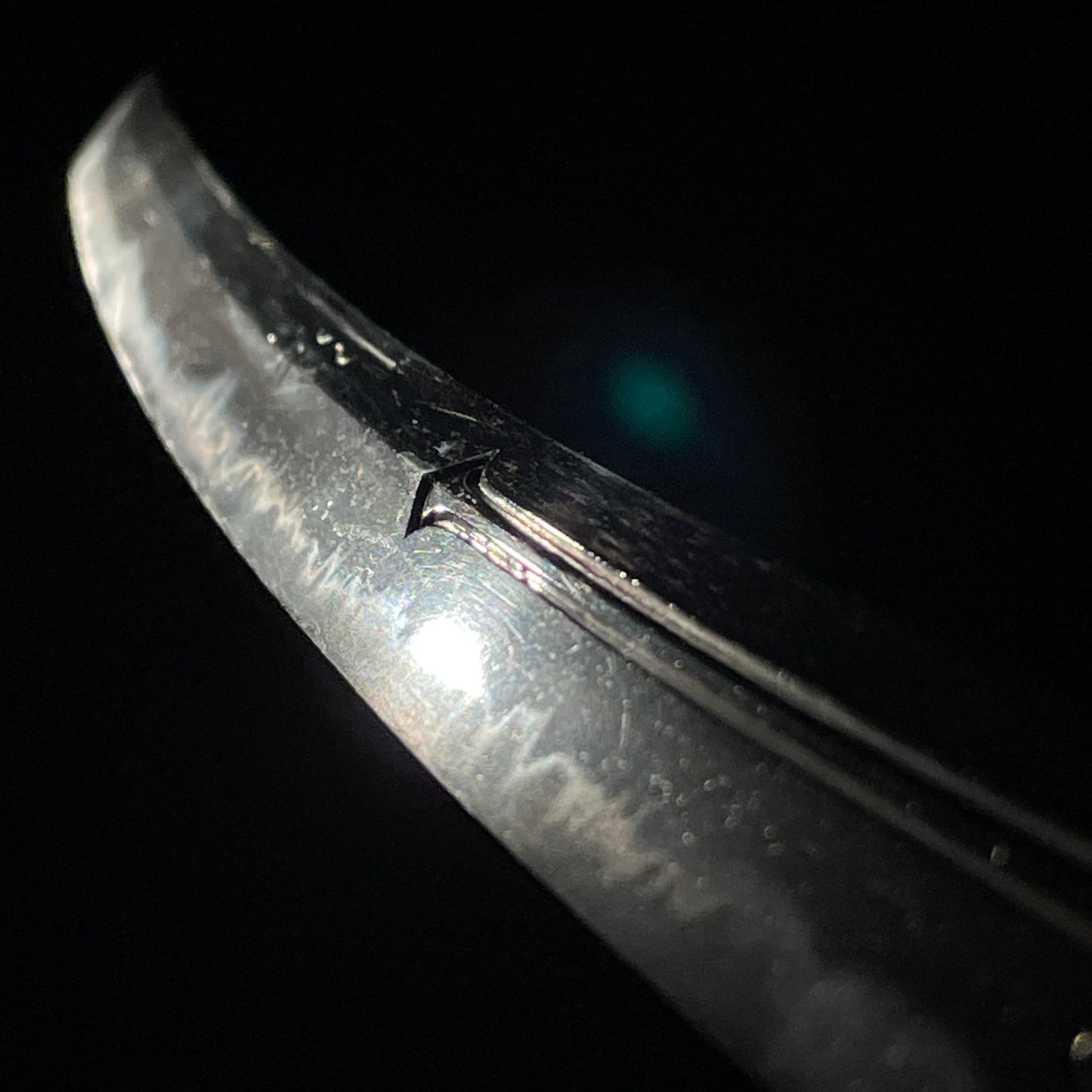 Rankaku-Saya 卵殻鞘, HORIMONO 彫物 Wakizashi, Yamagane Tsuba, Edo period mumei