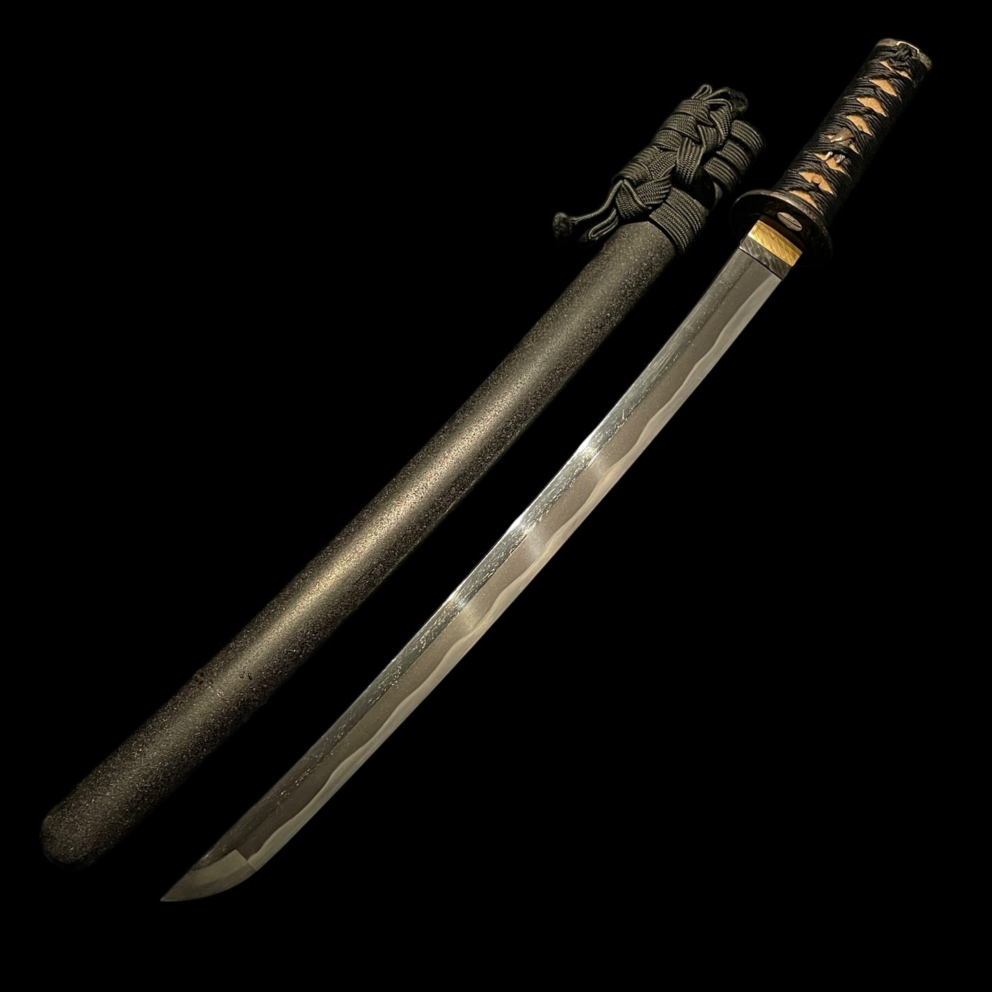 Dragon Fittings WAKIZASHI, Edo period mumei, with Shirasaya