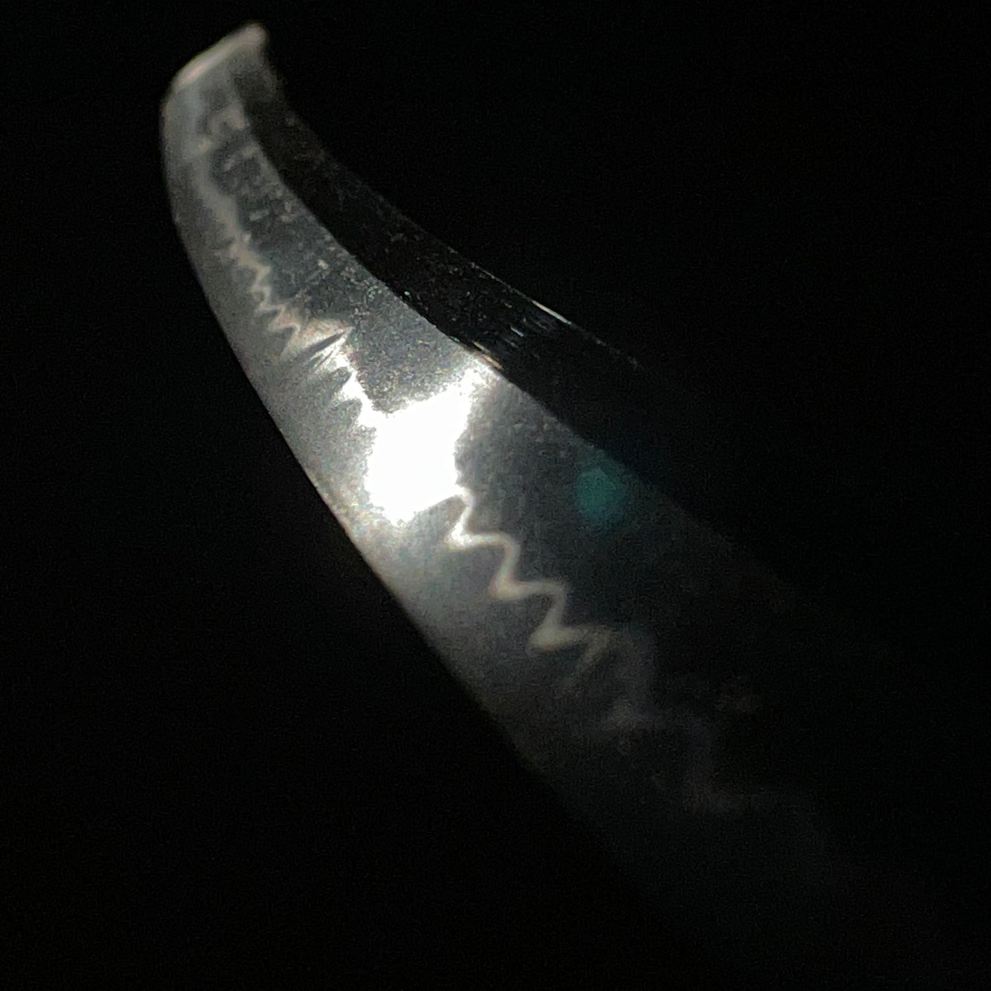 Dragon Fuchikashira Long Wakizashi, Silver Kashu Habaki, Edo period mumei