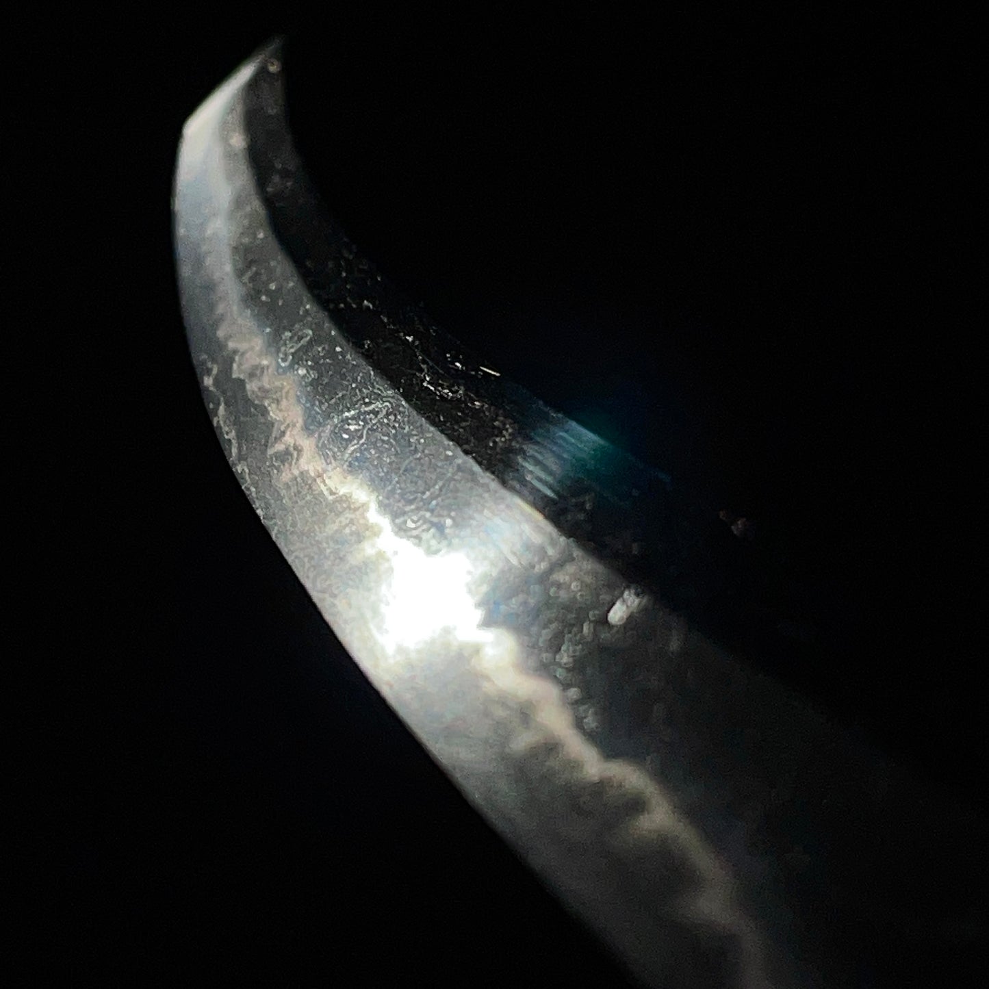 Handachi-Koshirae 半太刀拵, Sadatoshi 貞俊 signed Wakizashi, with Kozuka, Edo period