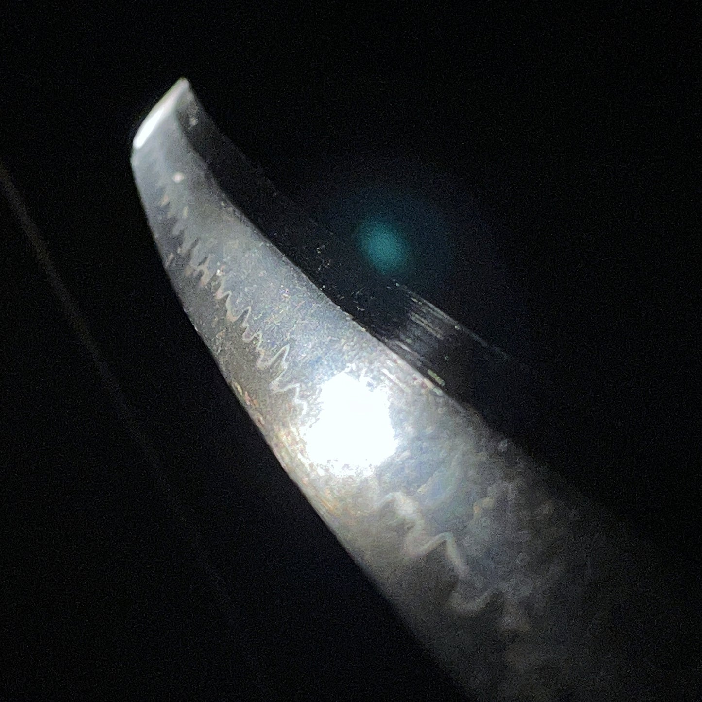 Black Wakizashi, Shakudo Shishi Fuchikashira, Edo period mumei