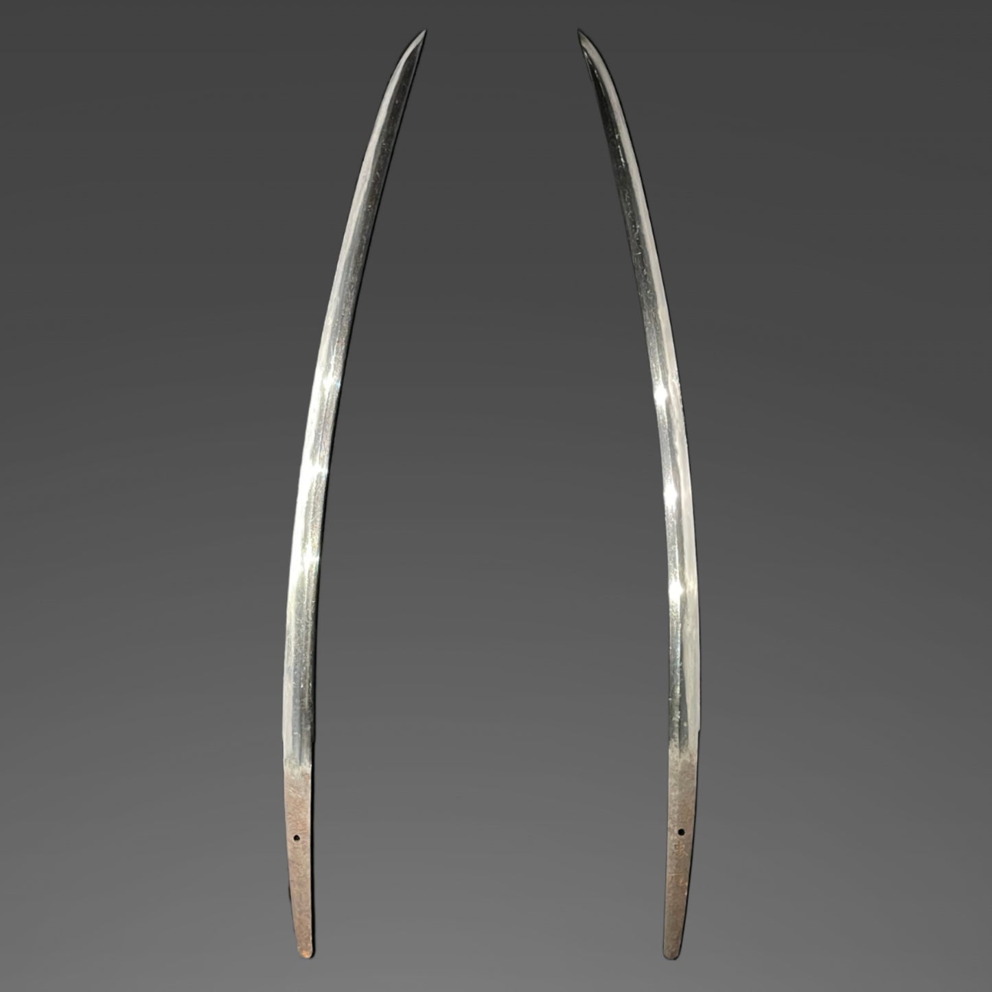 Kodachi 小太刀 Shobuzukuri, Dragon Fittings, Tadamitsu 忠光 signed