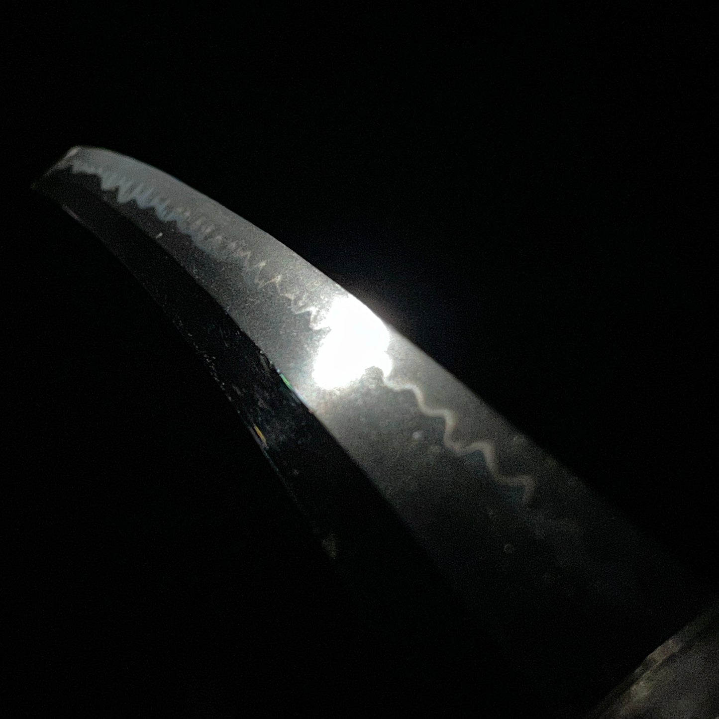 Noshuju Jumyo 濃州住寿命 signed Long Wakizashi, Straight blade, Edo period