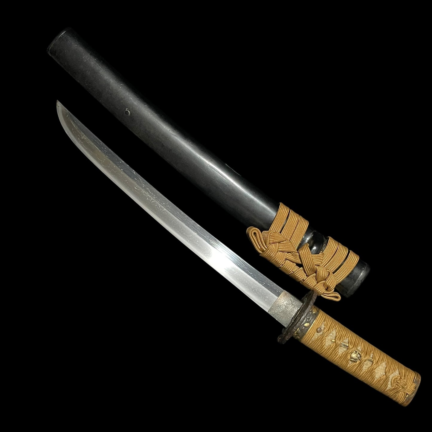 Shobuzukuri 菖蒲造 Short Wakizashi, Edo period mumei