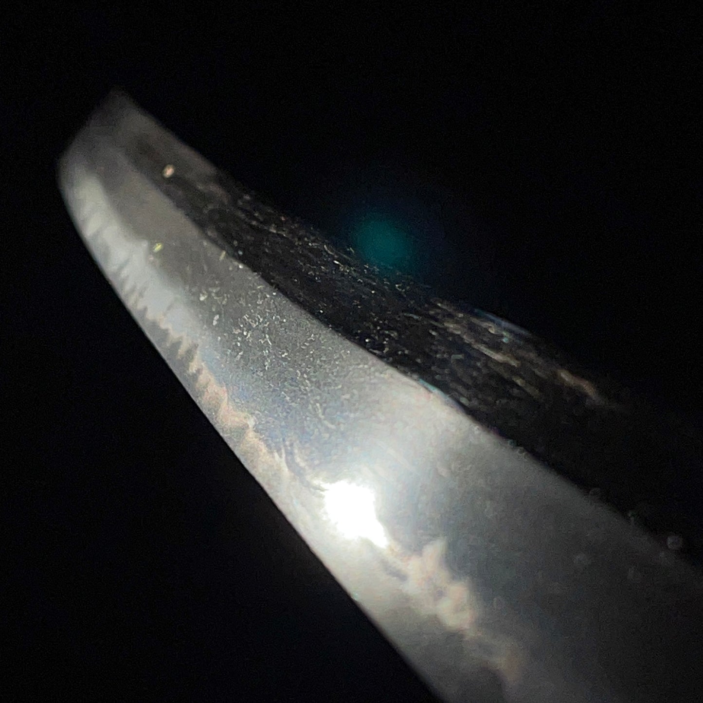Black Wakizashi, Japanese pampas grass Tsuba, Edo period mumei