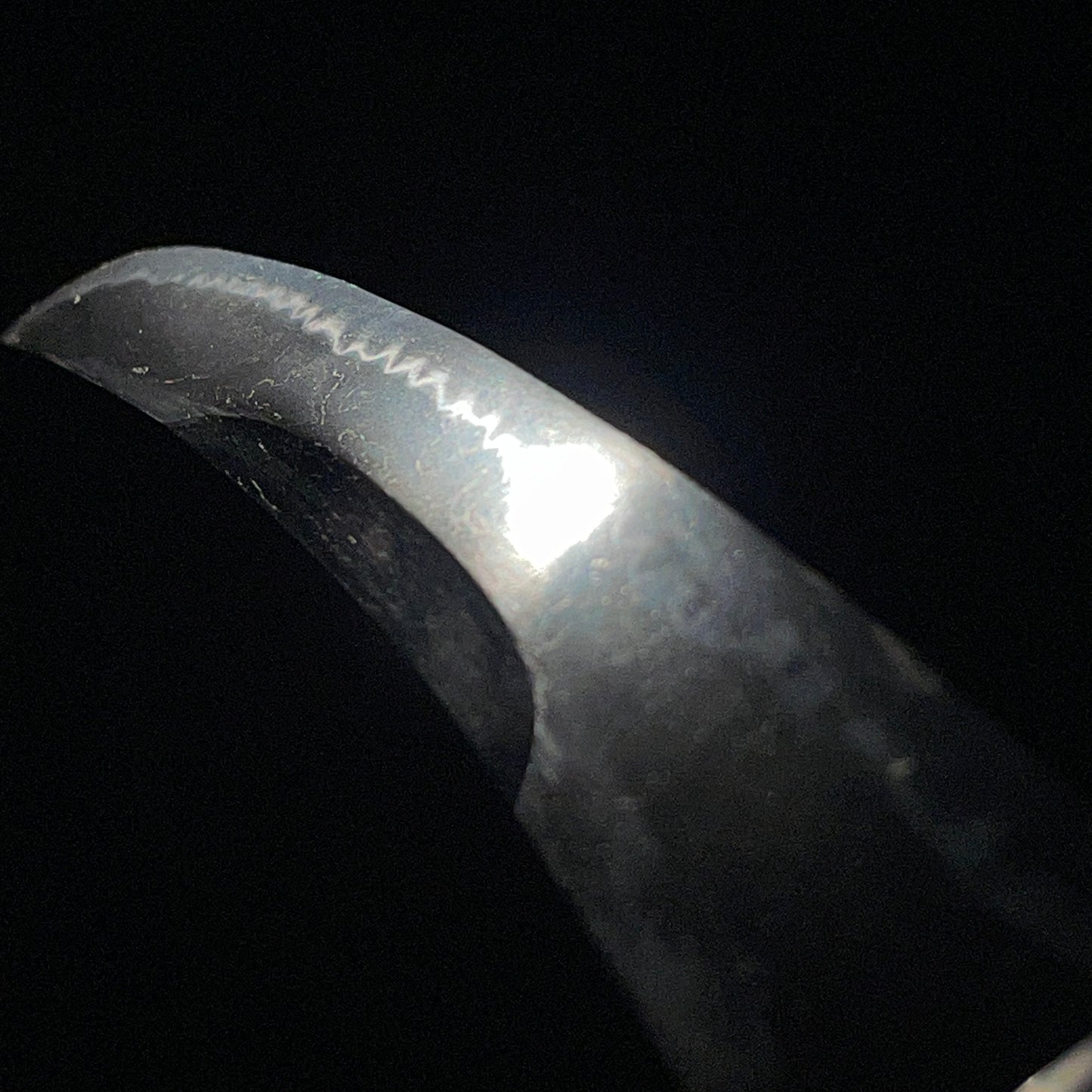 Unokubi-Zukuri 鵜首造 Wakizashi, Thick blade, Edo period mumei