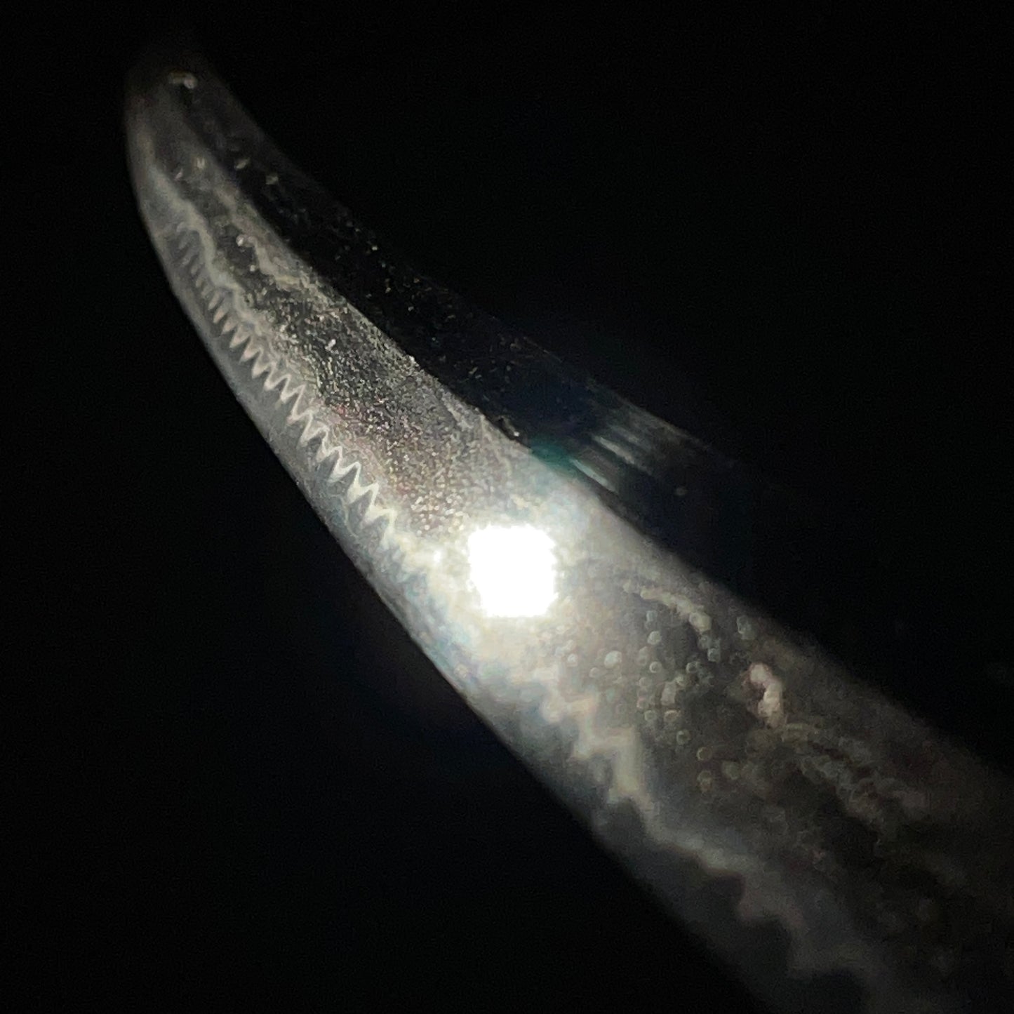 Gunome-Midare KATANA, Plum and Axe Fuchikashira, Muromachi period mumei