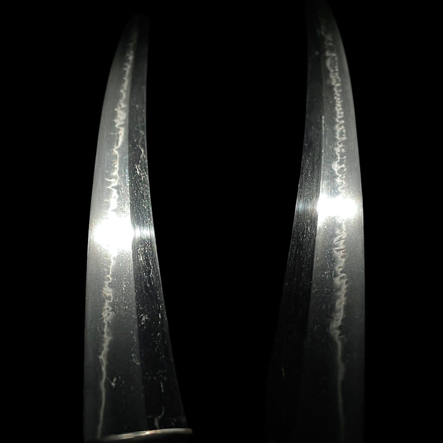 Amazing Hamon Kishu Ishido Yasumitsu 紀州石堂康光 Wakizashi, Shakudo nanako Fittings