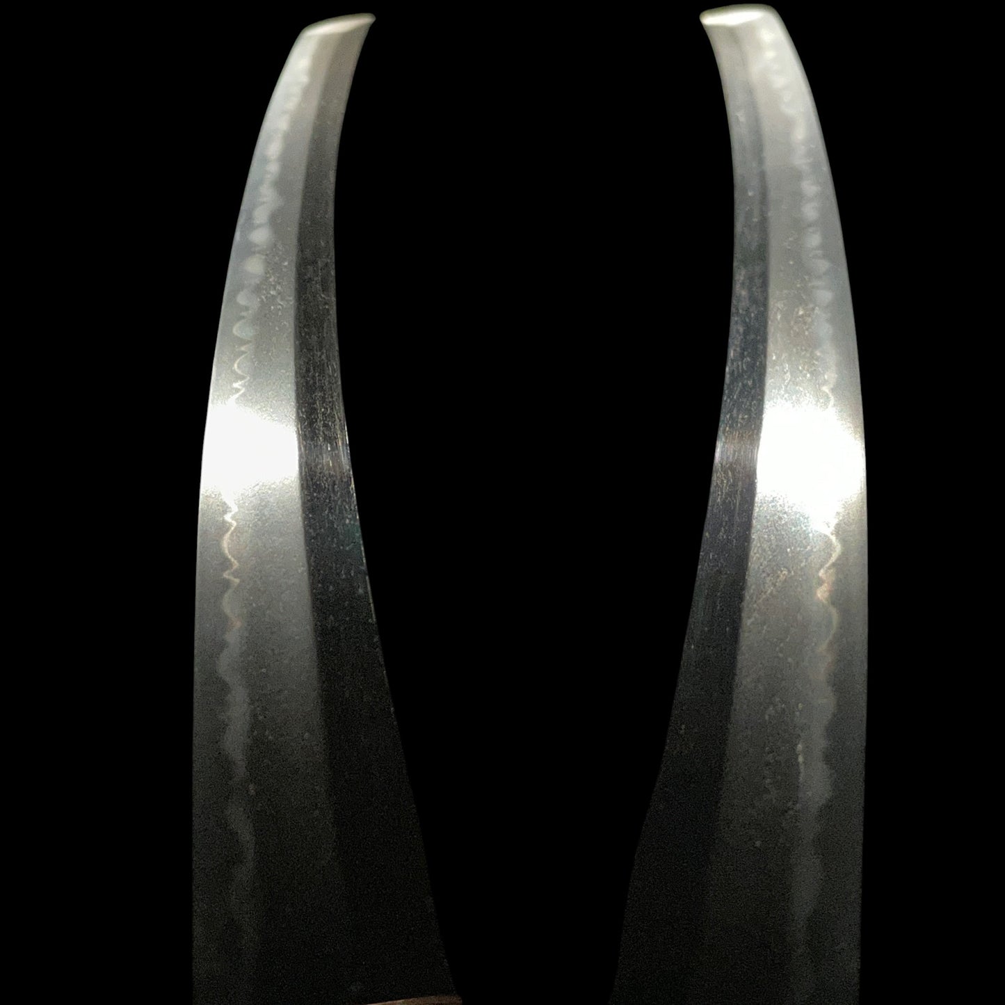 Yamashirodaijo Mizutaju Kunishige 山城大掾水田住国重 signed Wakizashi, Edo period