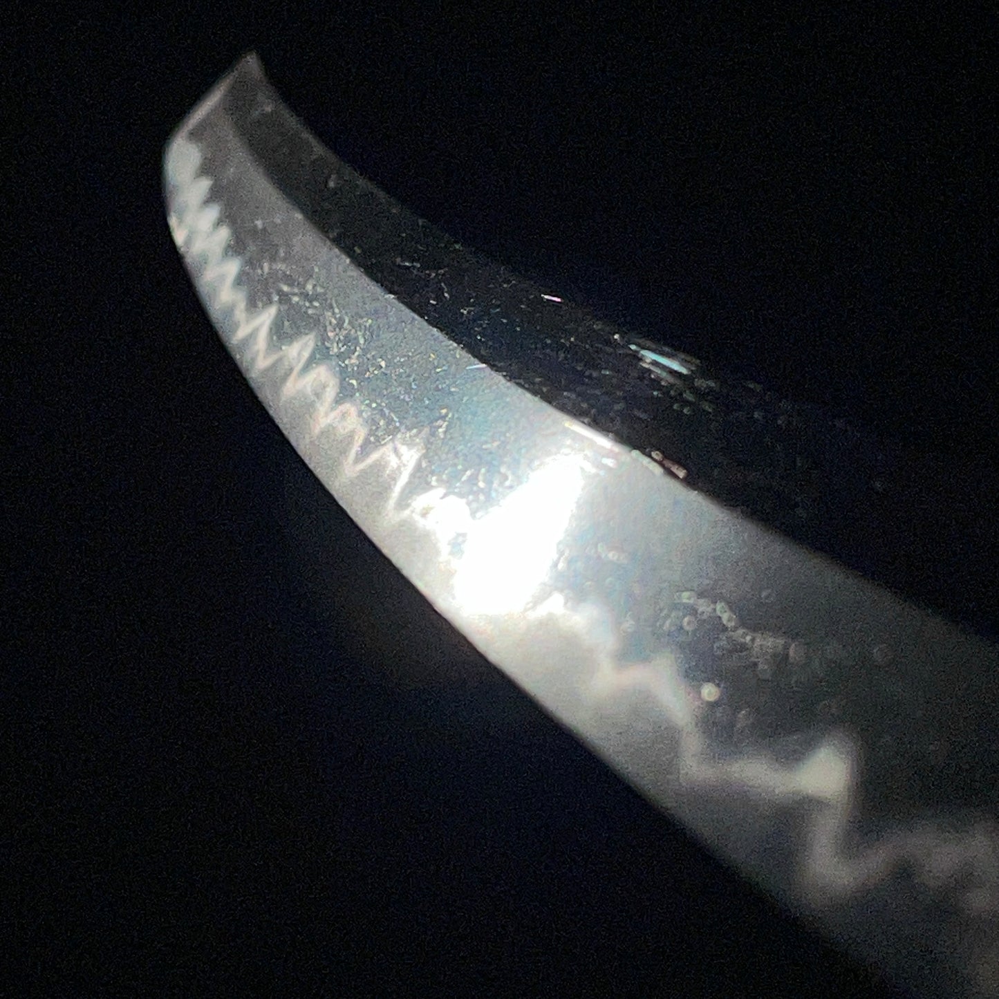 Toppei Koshirae 突兵拵 Long Wakizashi, Mantis Tsuba 蟷螂鍔,  Bishuju Morimitsu 備州住守光 signed