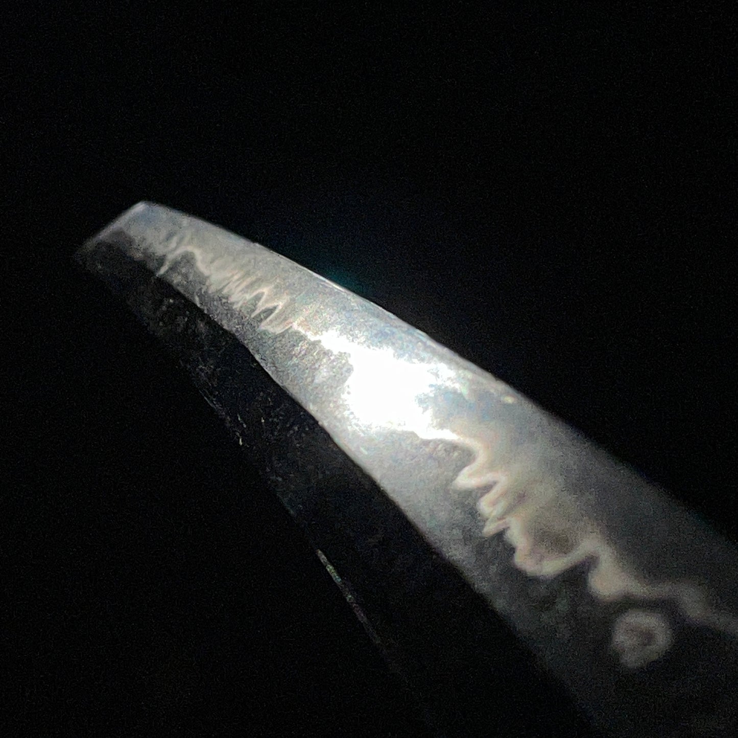 Straight Wakizashi, Ginkgo Tsuba 銀杏鍔, Edo period mumei