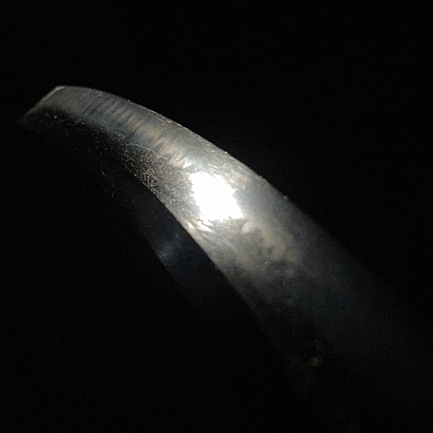 Red Wakizashi Catfish Kozuka,  Tsuda Echizennokami Sukehiro August 1681 signed