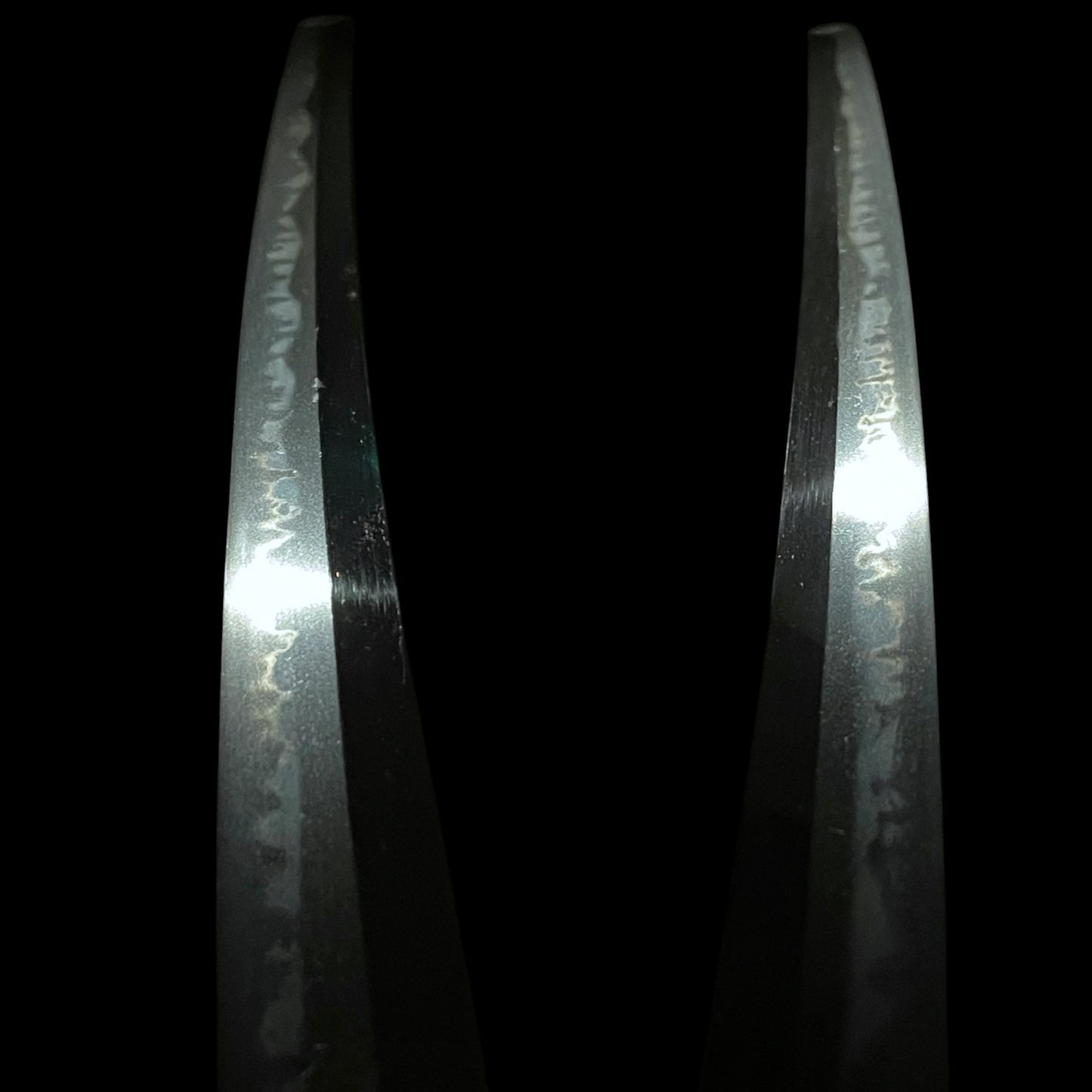 Shinshuju Sukemune 信州住助宗 KATANA, Edo period, NBTHK Certificate