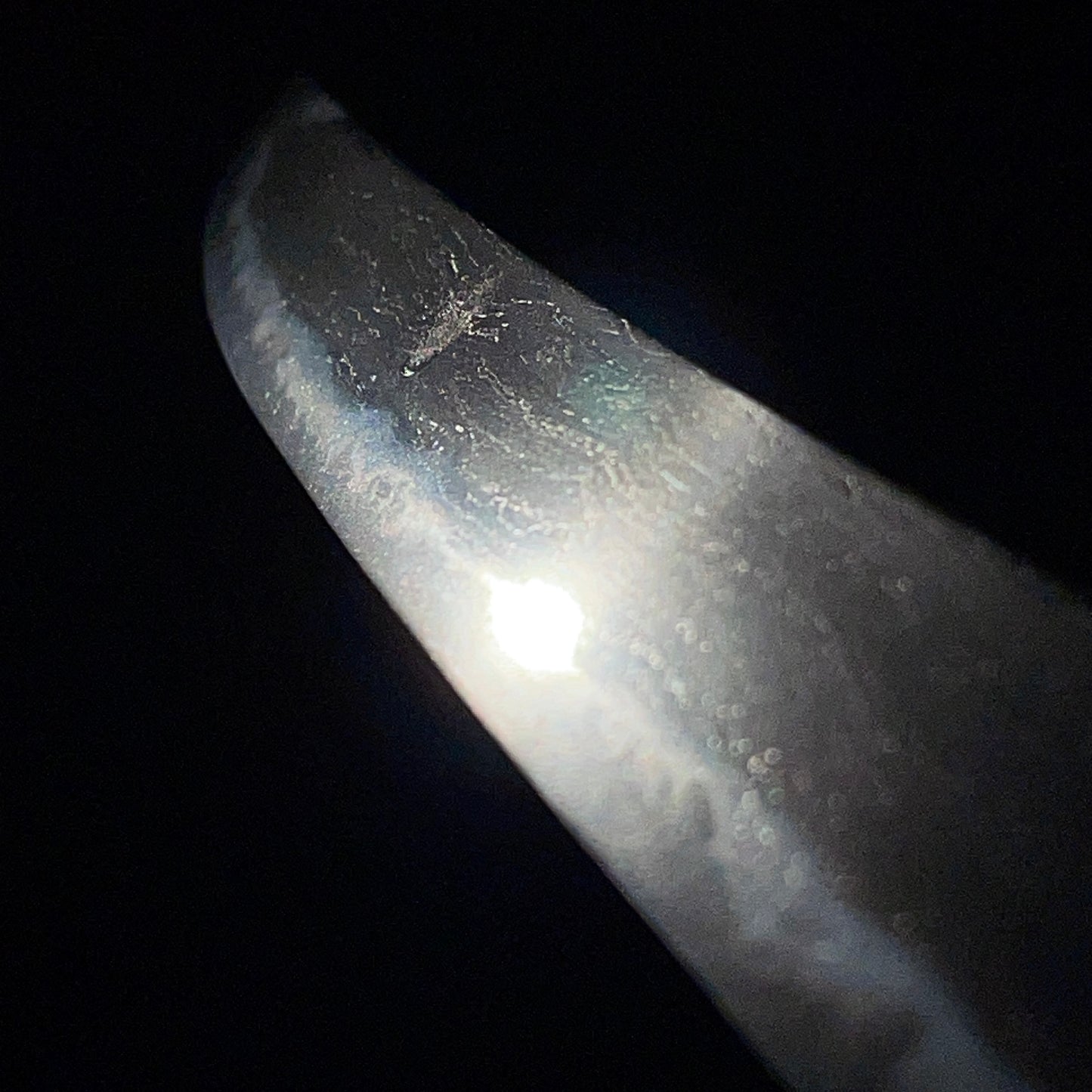Plum Fuchikashira Hirazukuri TANTO, Muromachi period mumei