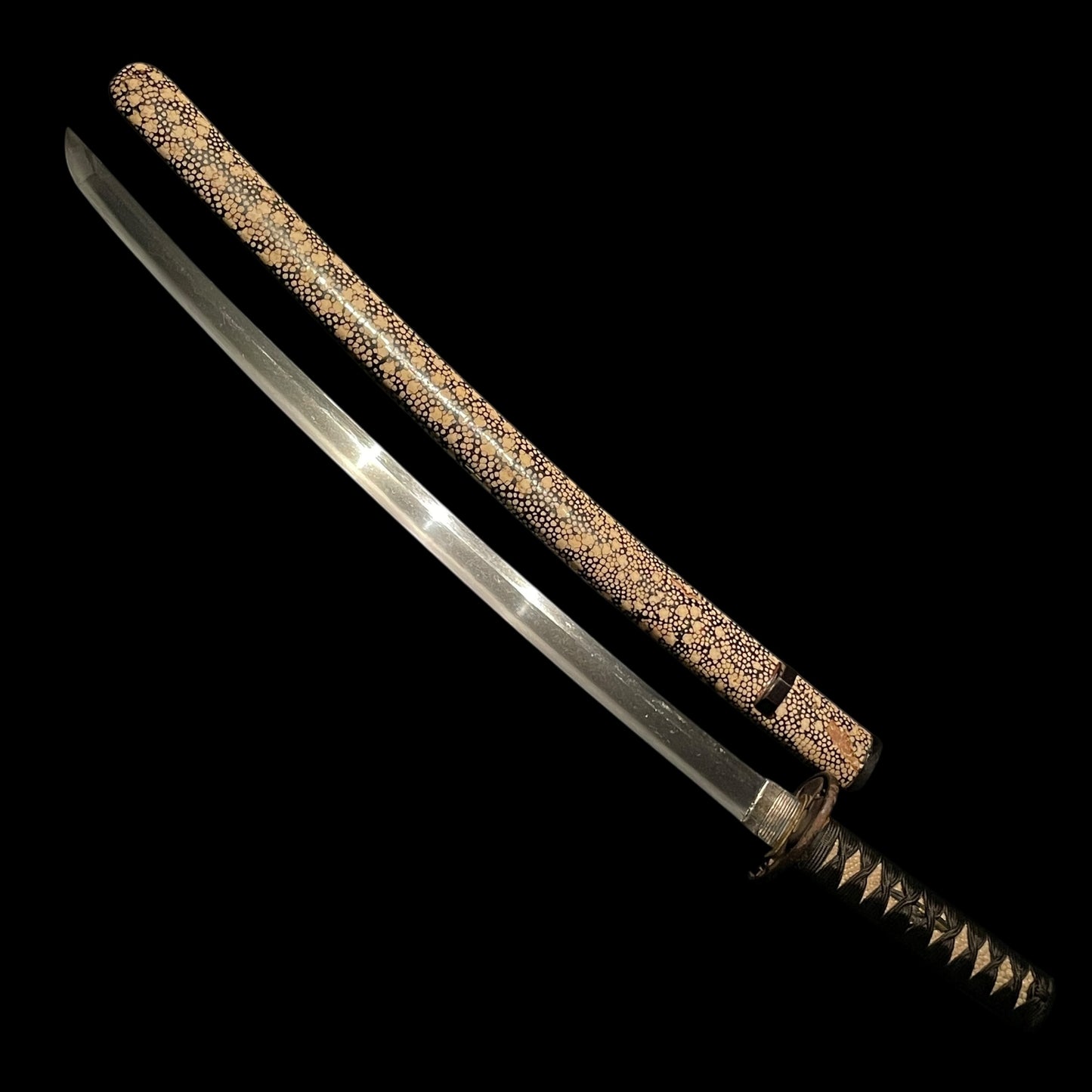 Kairagisaya 梅花皮鞘 Rayskin Scabbard WAKIZASHI, Persimmon Tsuba 柿透鍔, Edo period