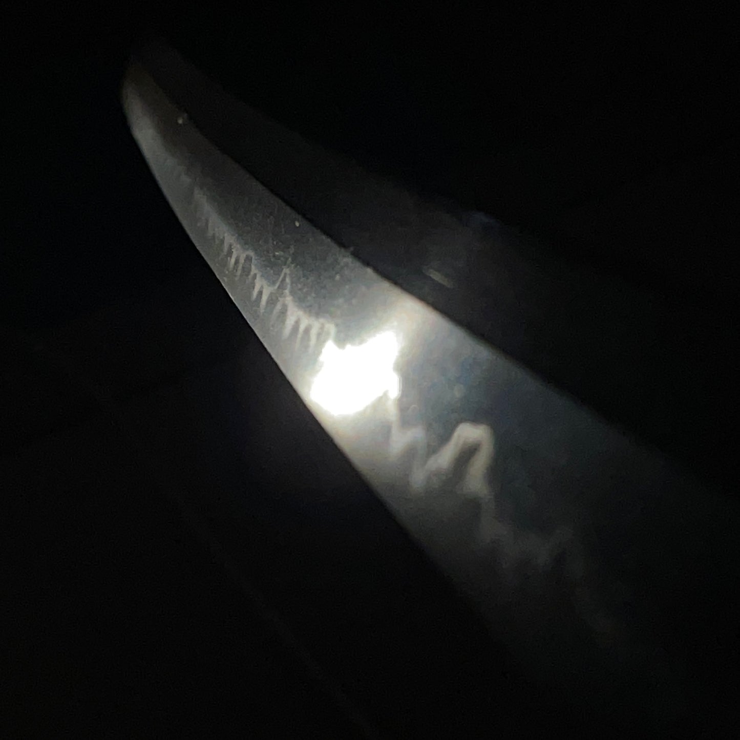 Echizen Shigetaka 越前重高 KATANA, Early Edo period, NBTHK Certificate
