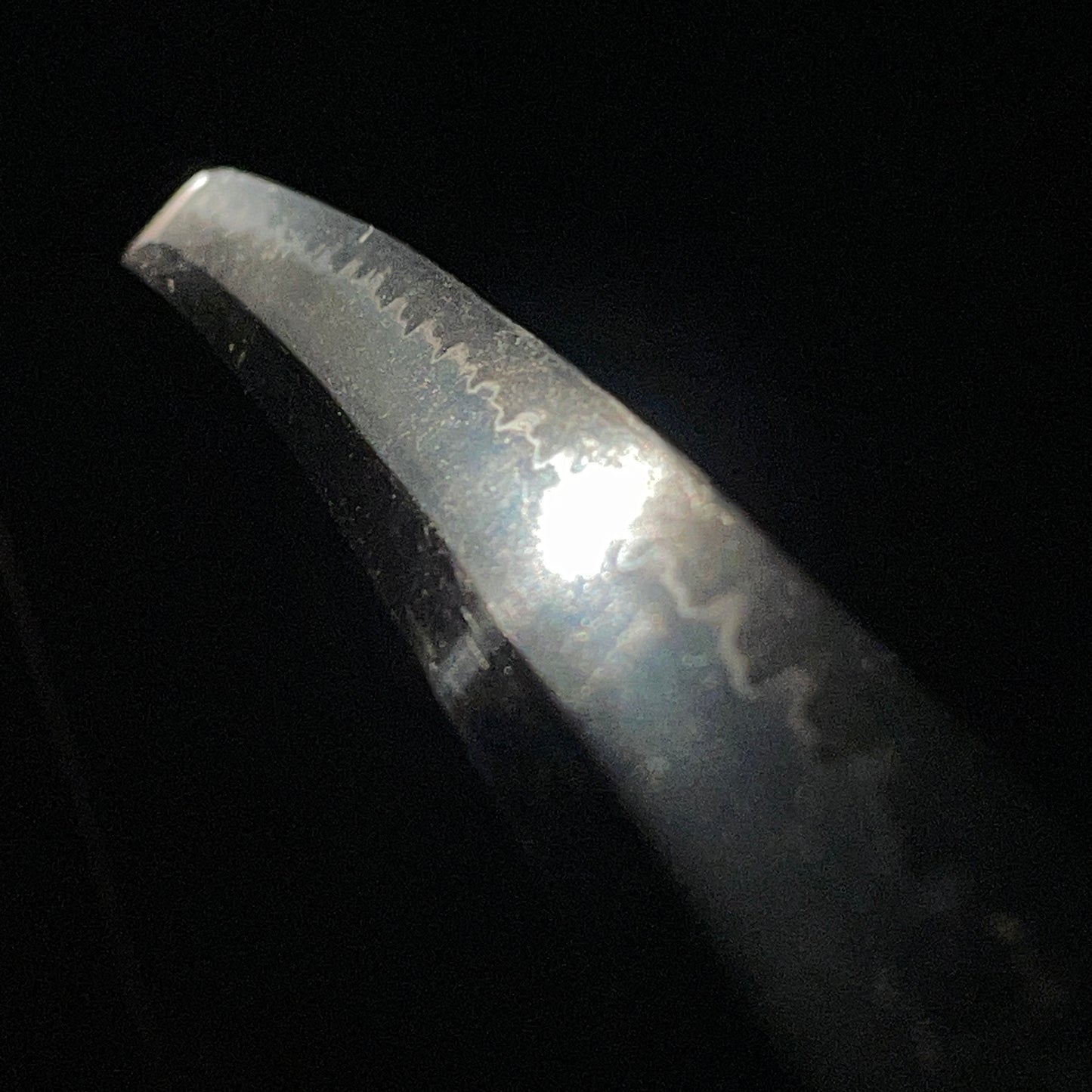 Black Wakizashi, Shakudo Shishi Fuchikashira, Edo period mumei