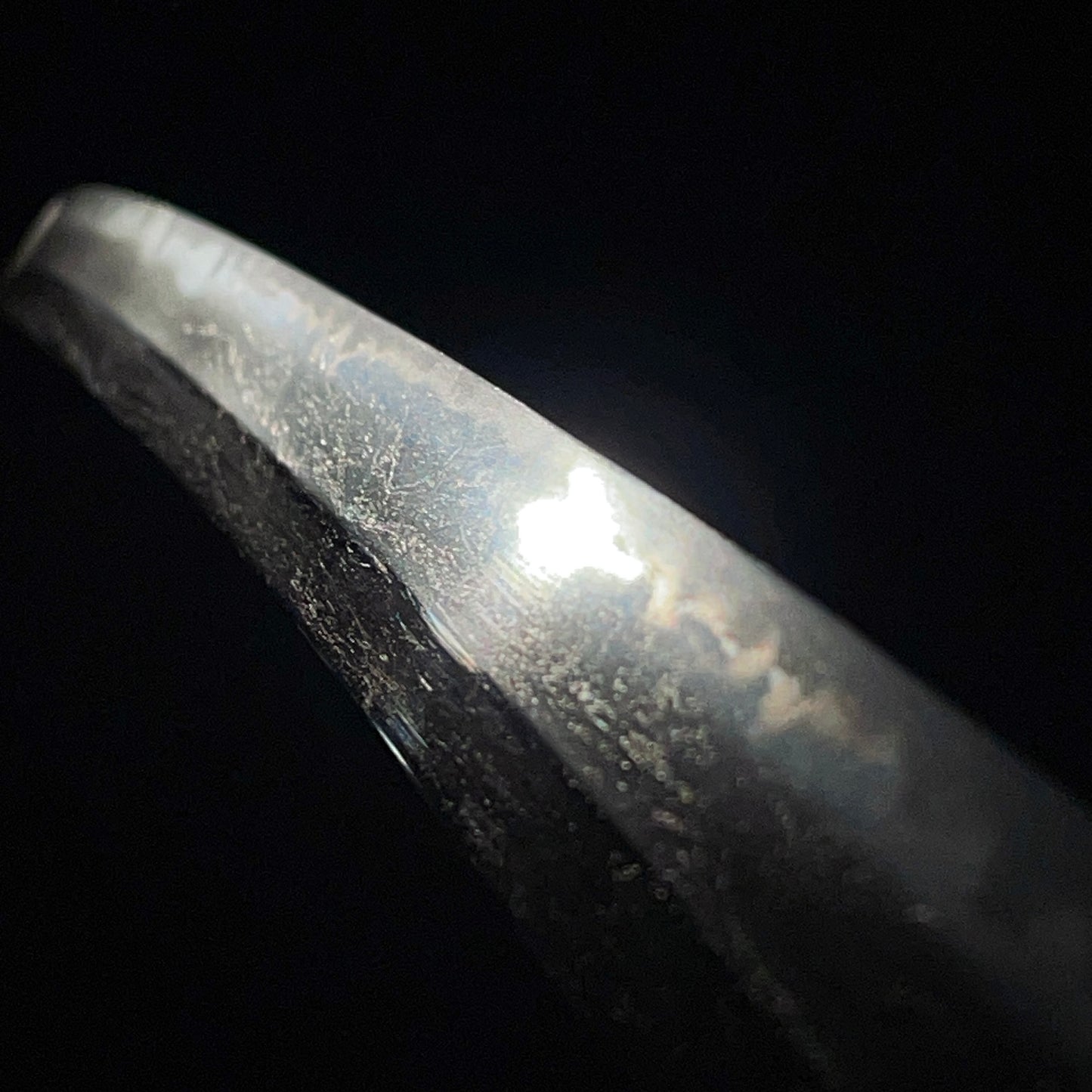 Black Wakizashi, Japanese pampas grass Tsuba, Edo period mumei