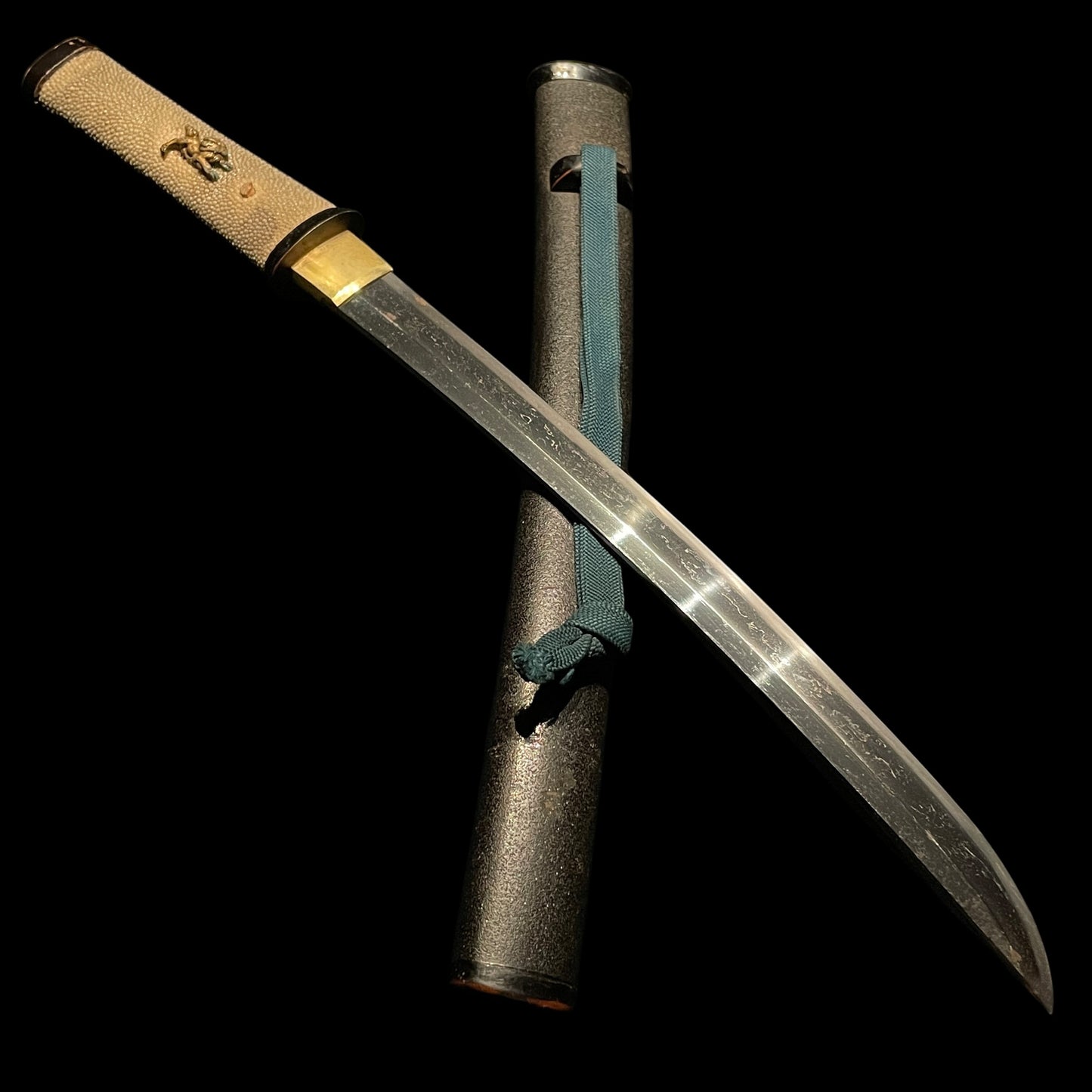 Shobuzukuri Aikuchi Wakizashi 菖蒲造合口脇差, Golden Shishi Menuki, Edo period mumei