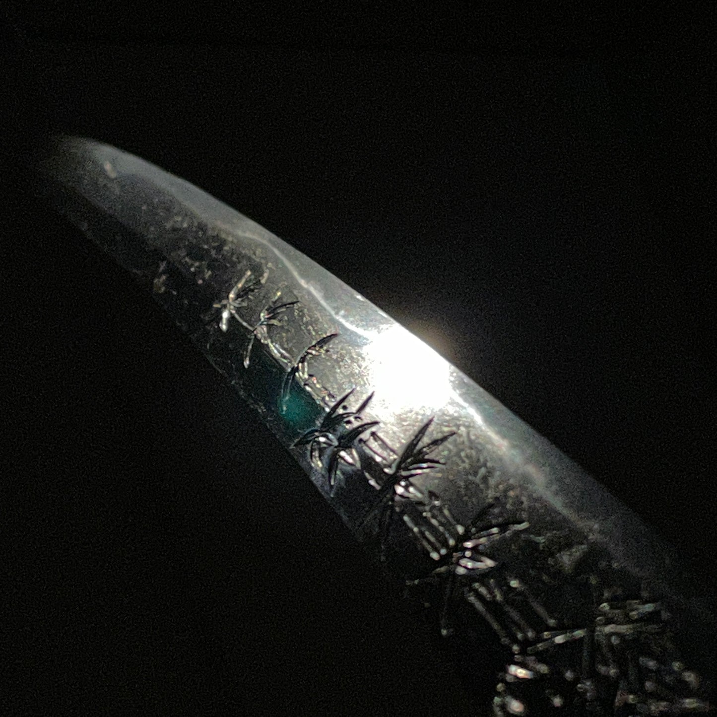 HIRIMONO 彫物 KATANA,笹竹 Sasatake Bamboo, Hizenkokuju Tadahiro 肥前國住忠廣 signed, Edo period