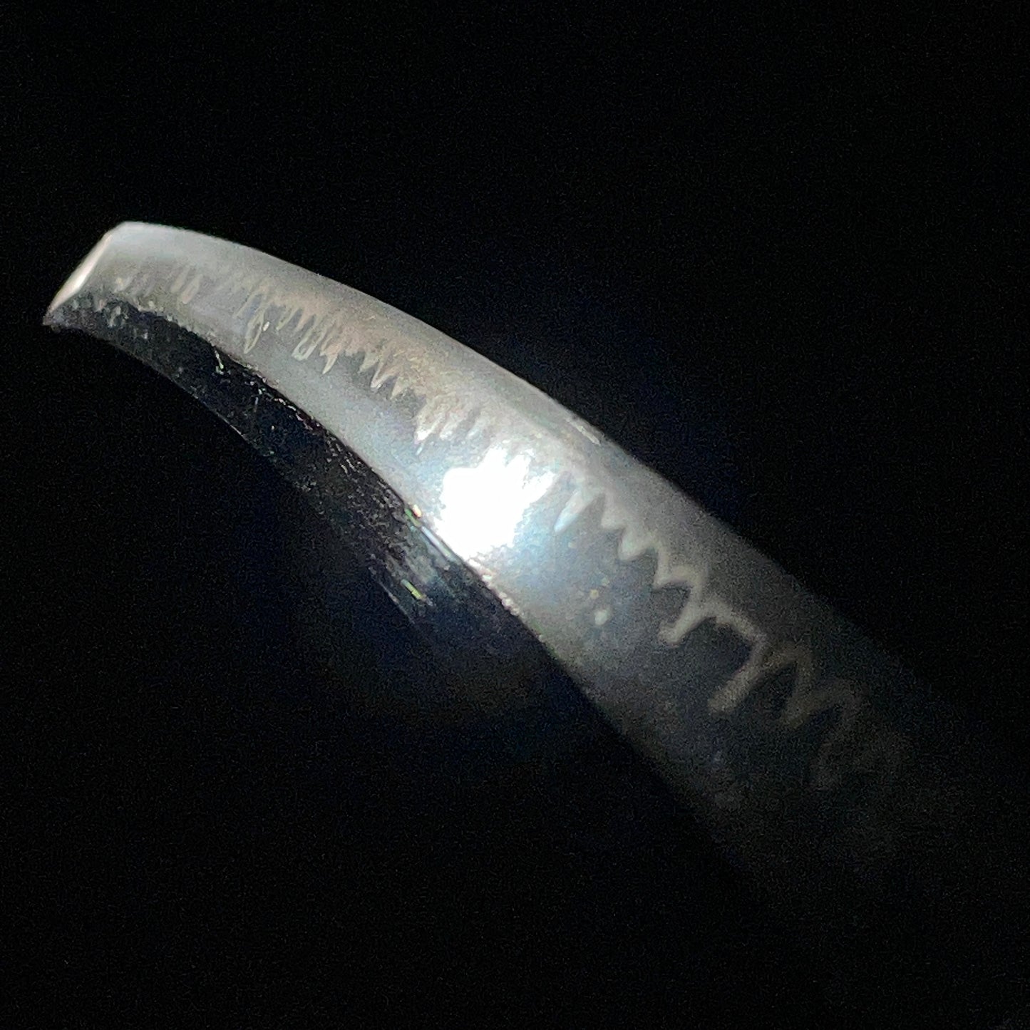 Katsushige 勝重 signed Long Wakizashi, Botanjishi Tsuba, Dragon Kozuka, Edo period