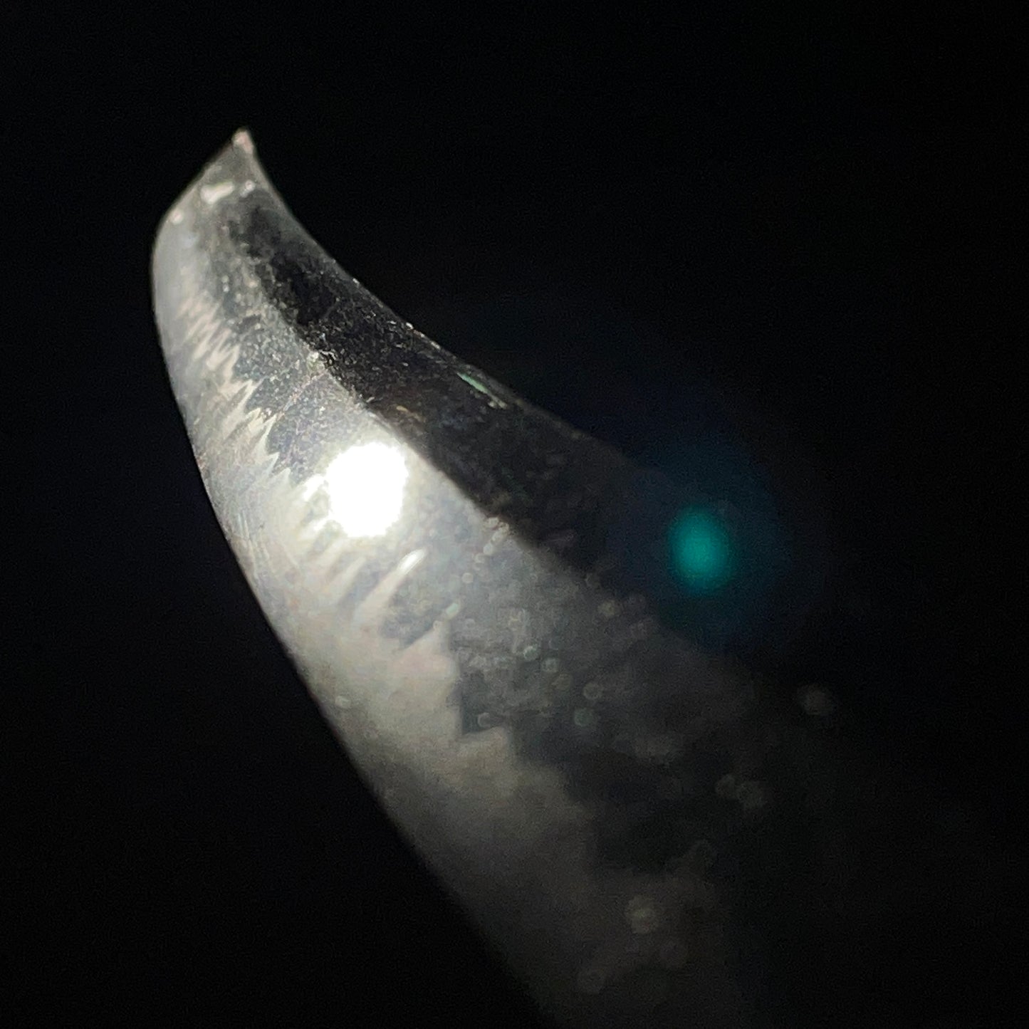 Bungoju Fujiwara Noriyuki 豊後住藤原則行 signed Very Heavy Wakizashi, Early Edo period