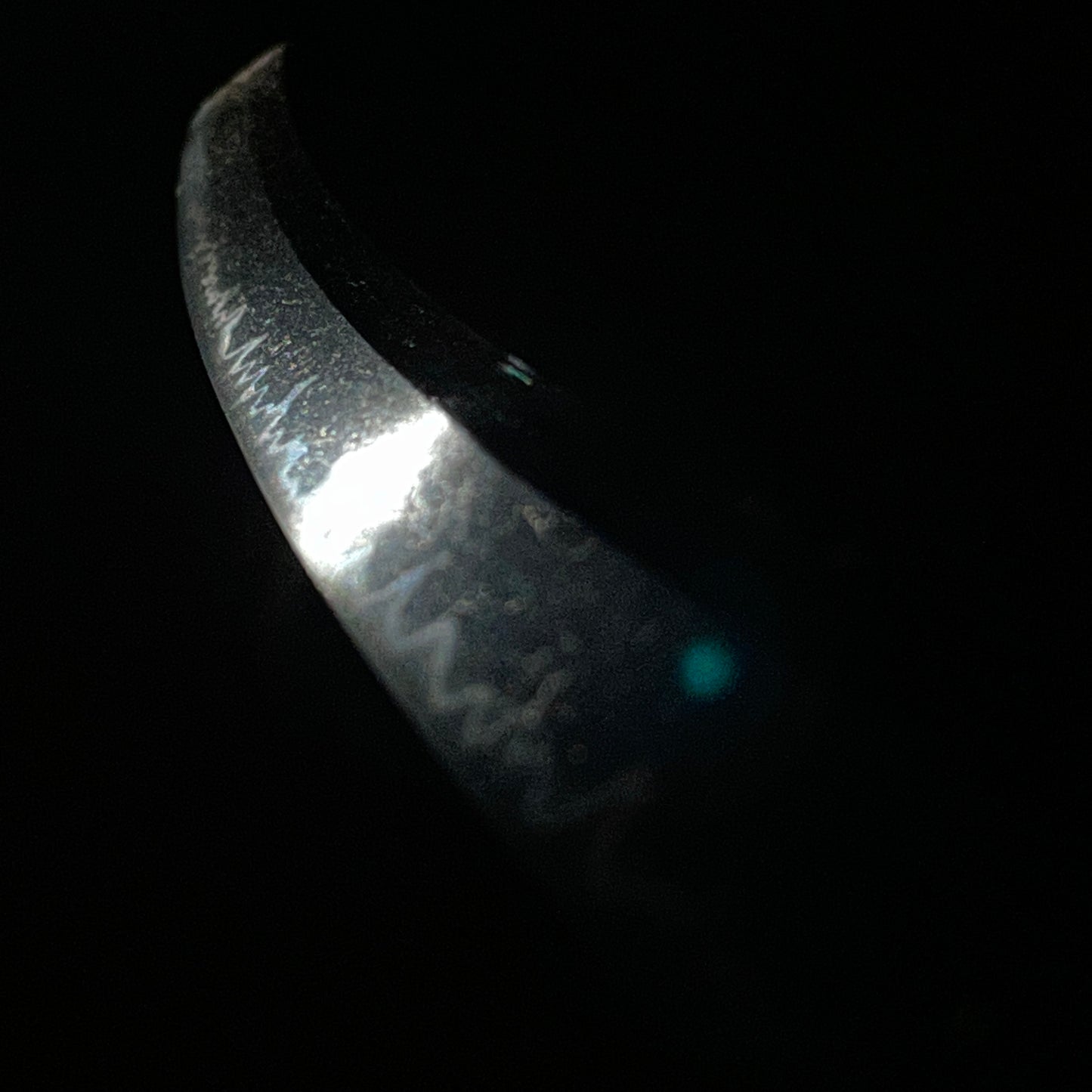 Shinanokami Nobuyoshi 信濃守信吉 signed Long Wakizashi, Edo period