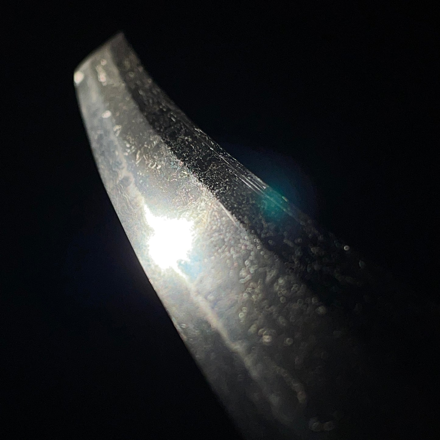 Izumikoku Masakage signed Wakizashi, Aoi Fuchikashira, Signed Tsuba, Edo period